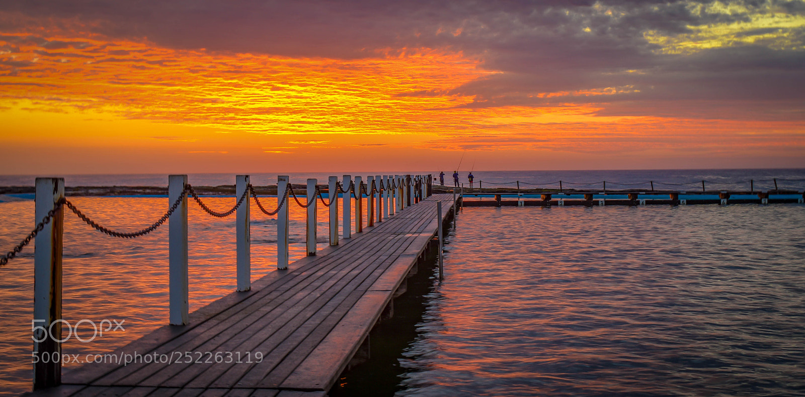 Nikon D5600 sample photo. North narrabeen pool bridge photography