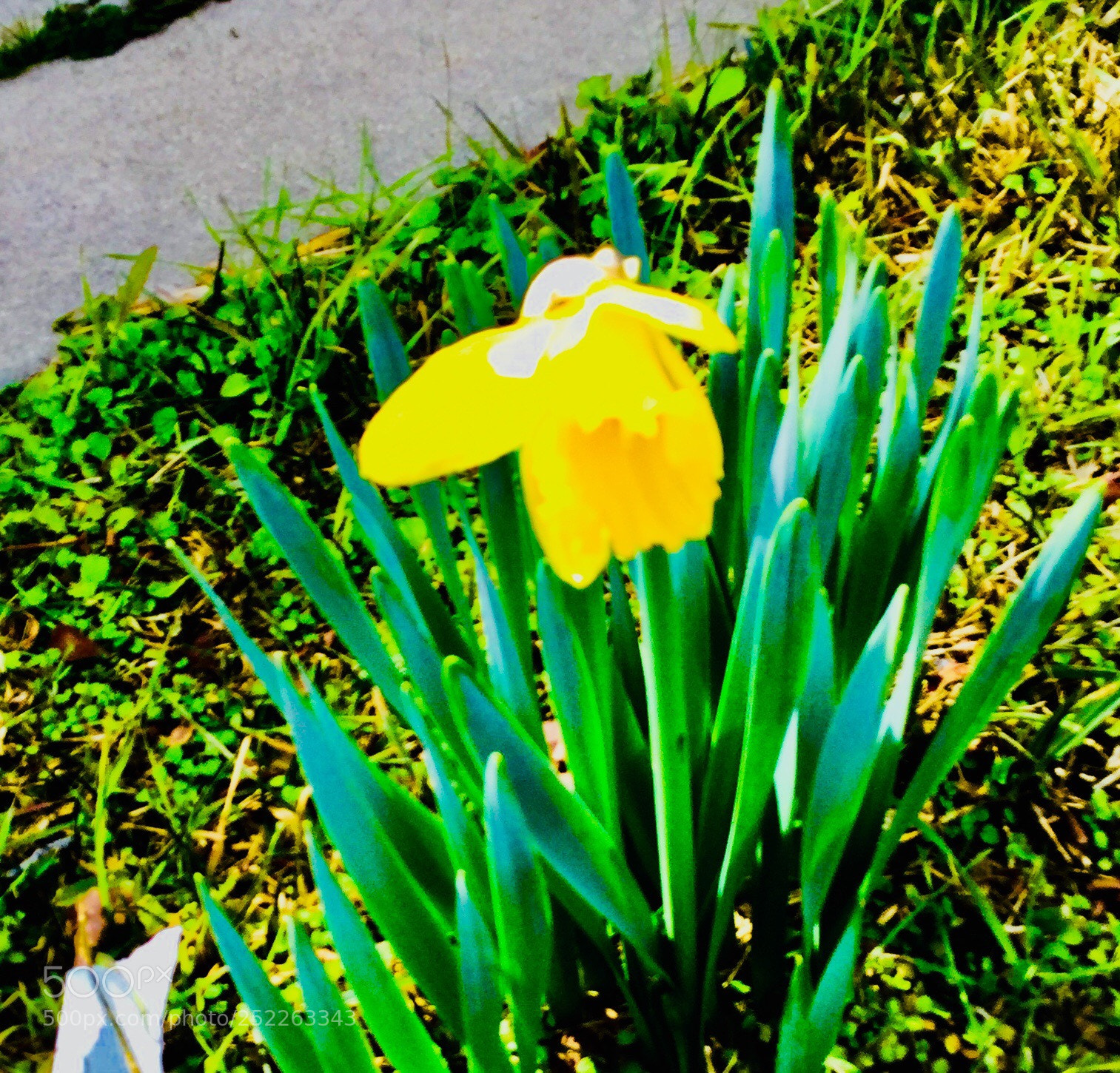 Apple iPod touch sample photo. Untitled photography
