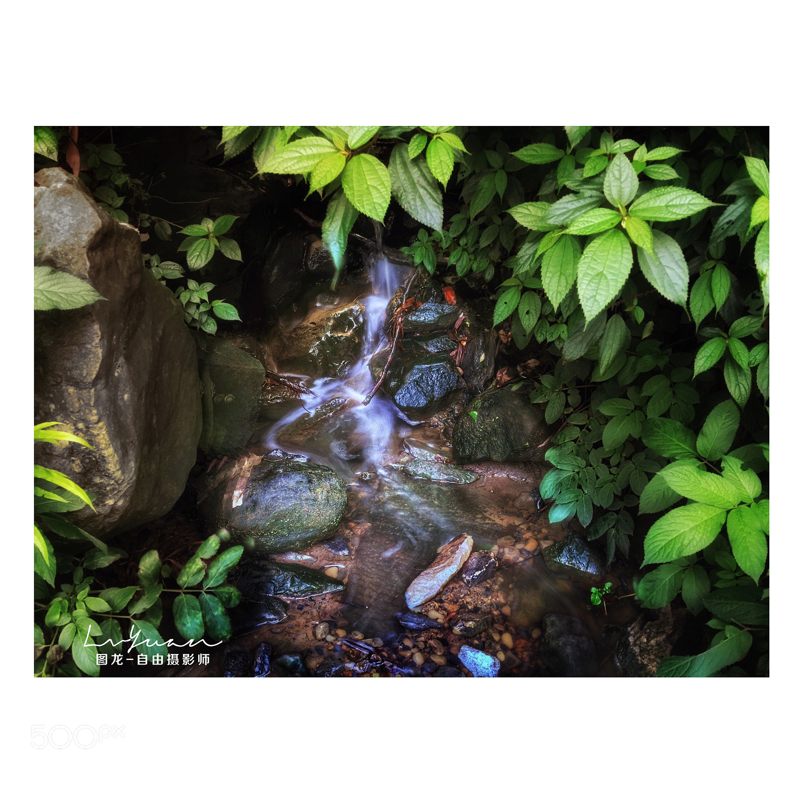 Apple iPhone sample photo. Untitled photography