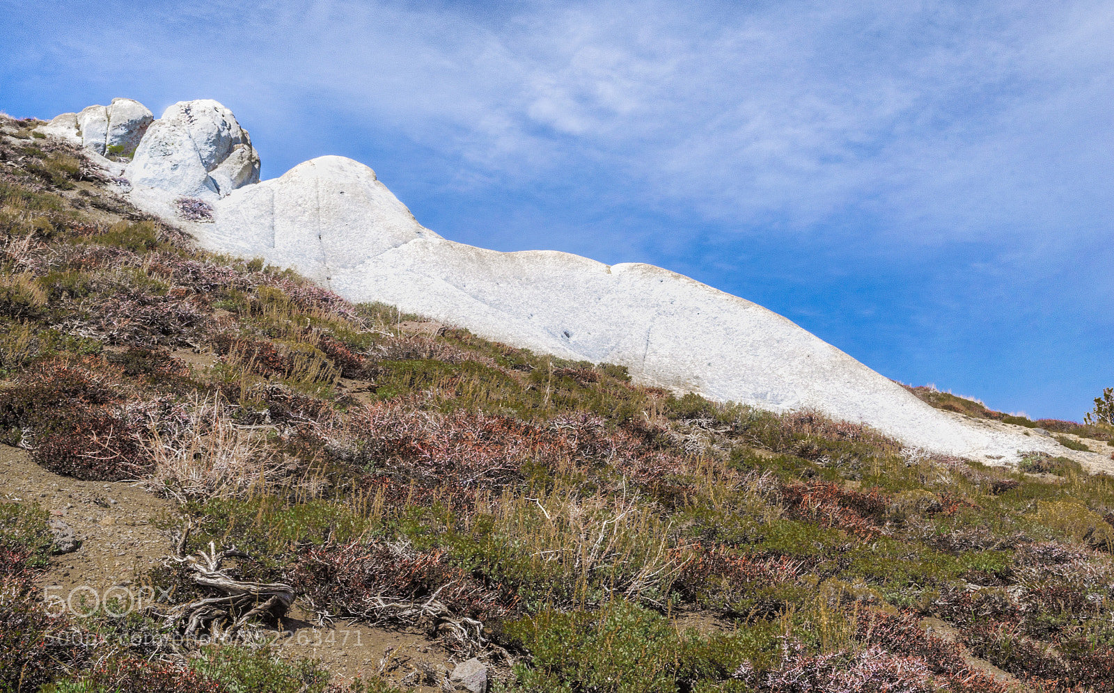 Nikon D5100 sample photo. Supine boulder photography