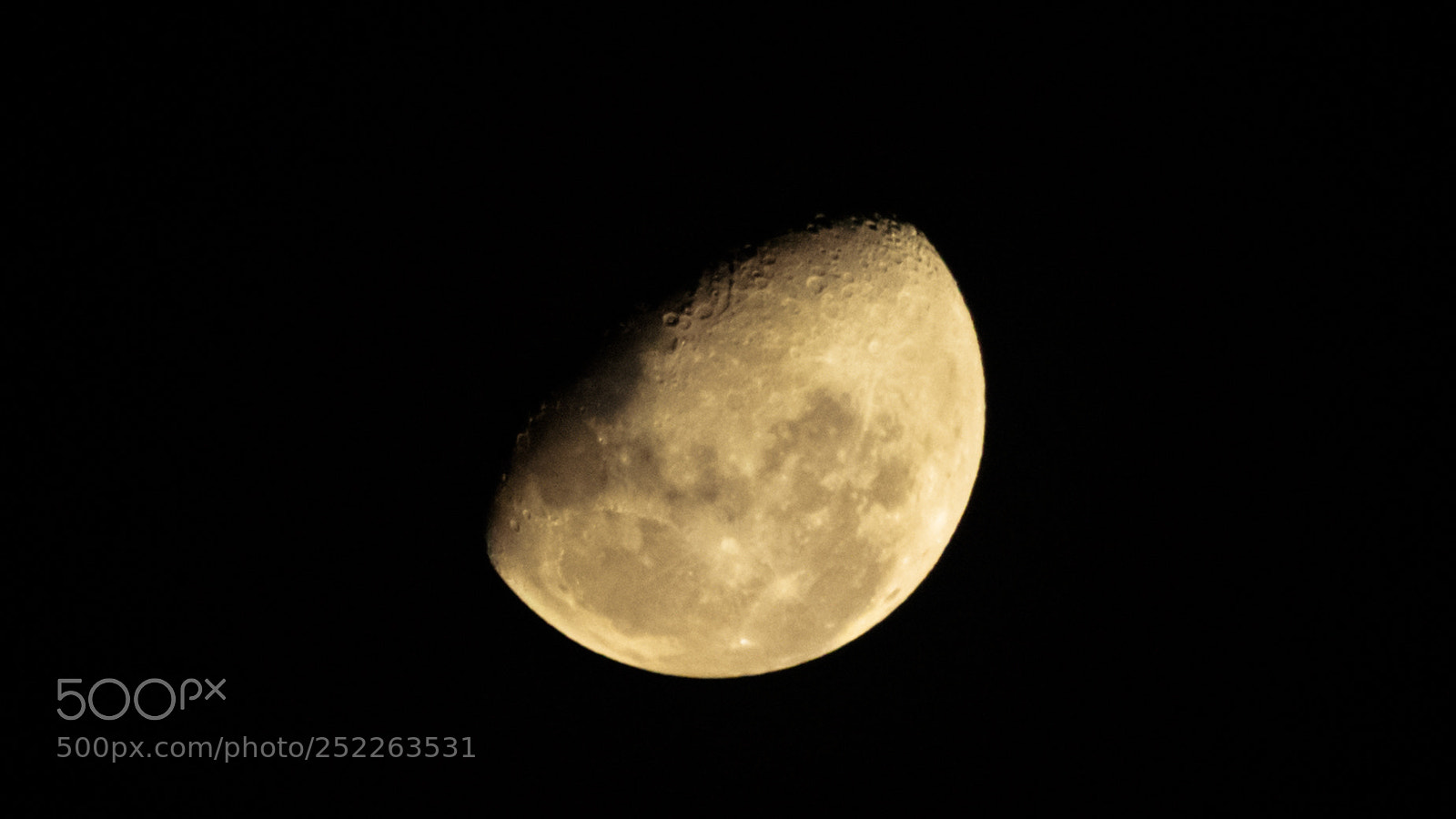 Nikon D5600 sample photo. Rbr_0812-2.jpg photography