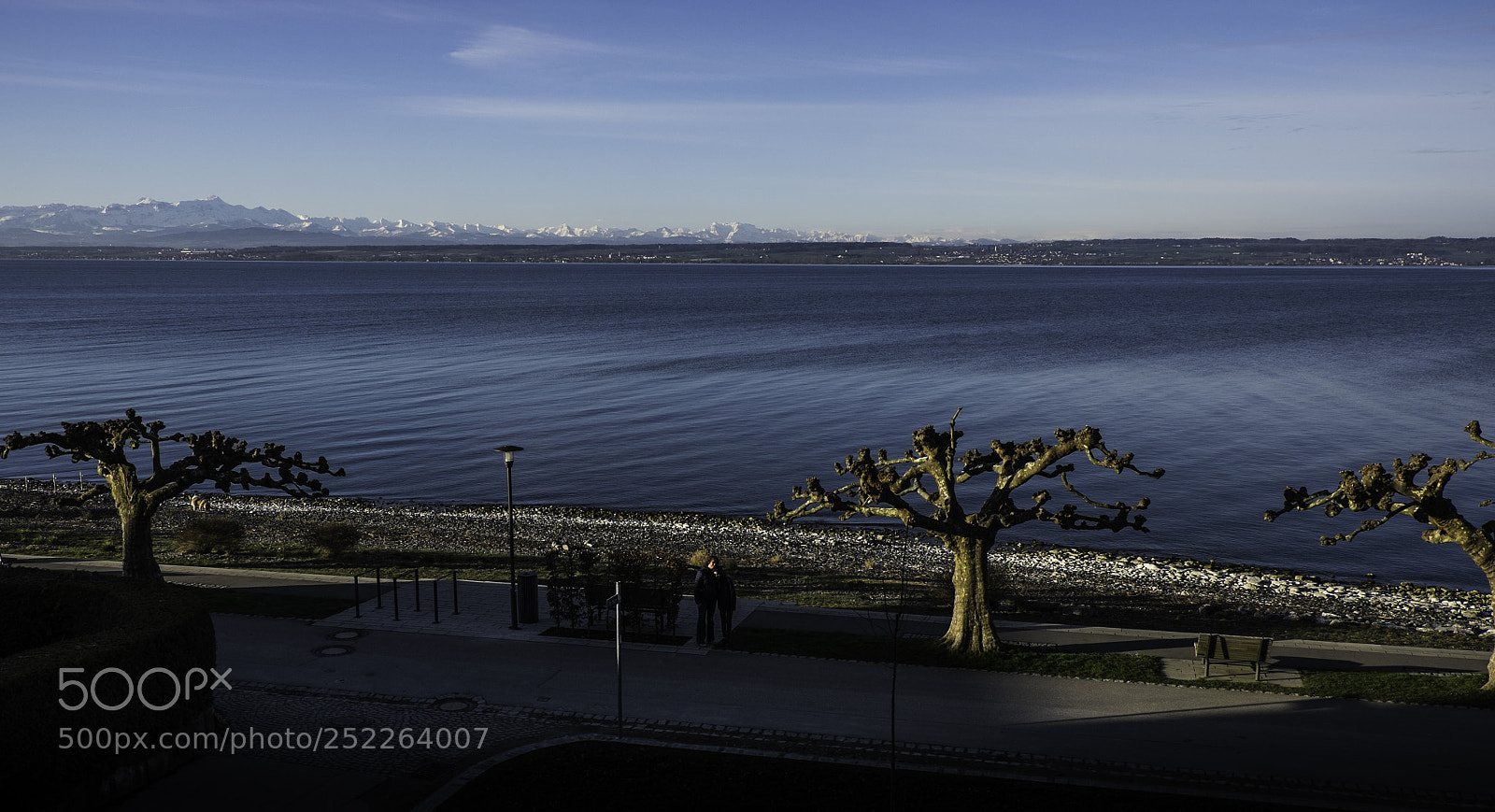 Fujifilm X-T1 sample photo. Bodenseeblues mit eurasier photography