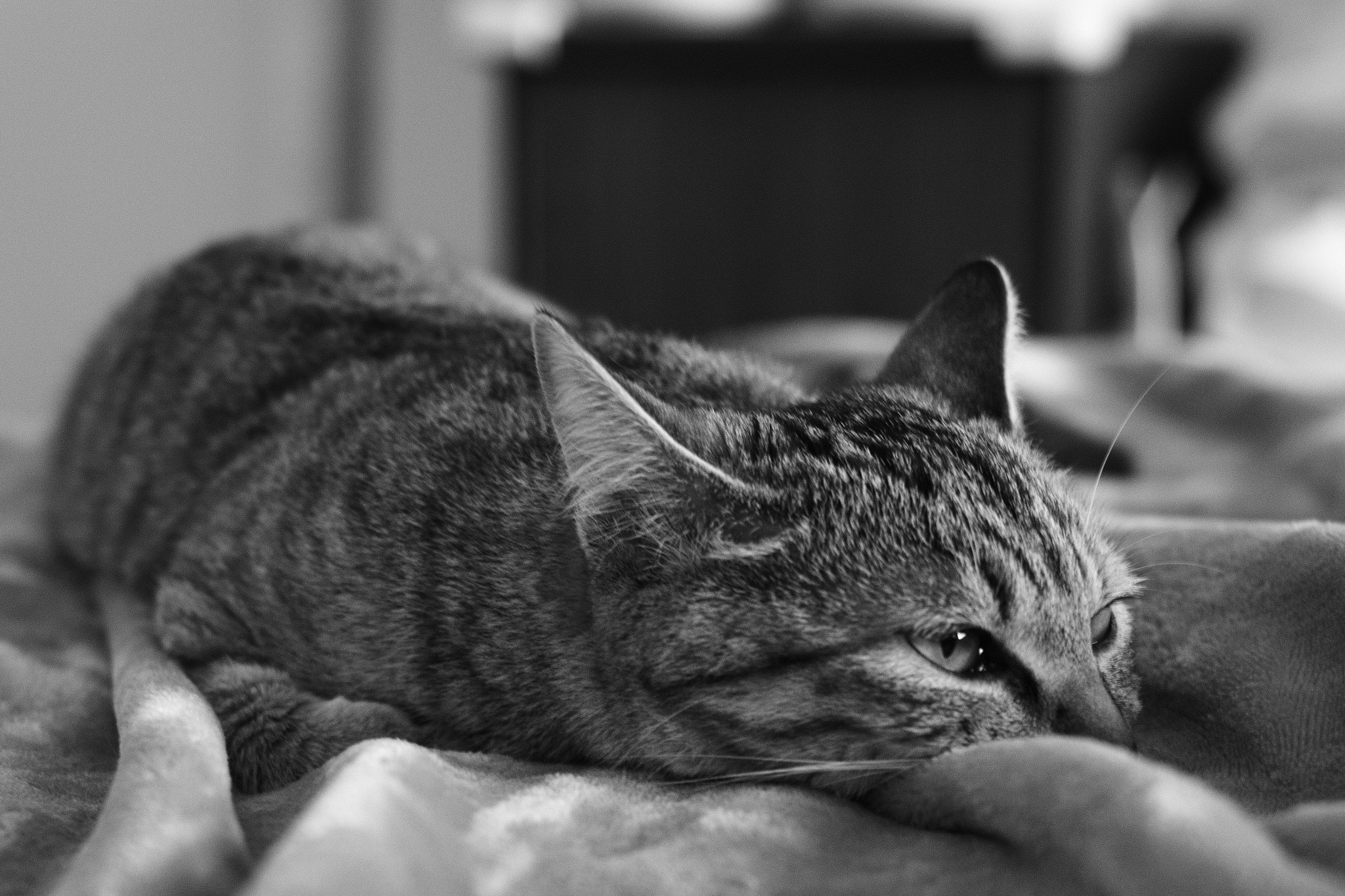 Leica M Monochrom (Typ 246) sample photo. I feel bored photography