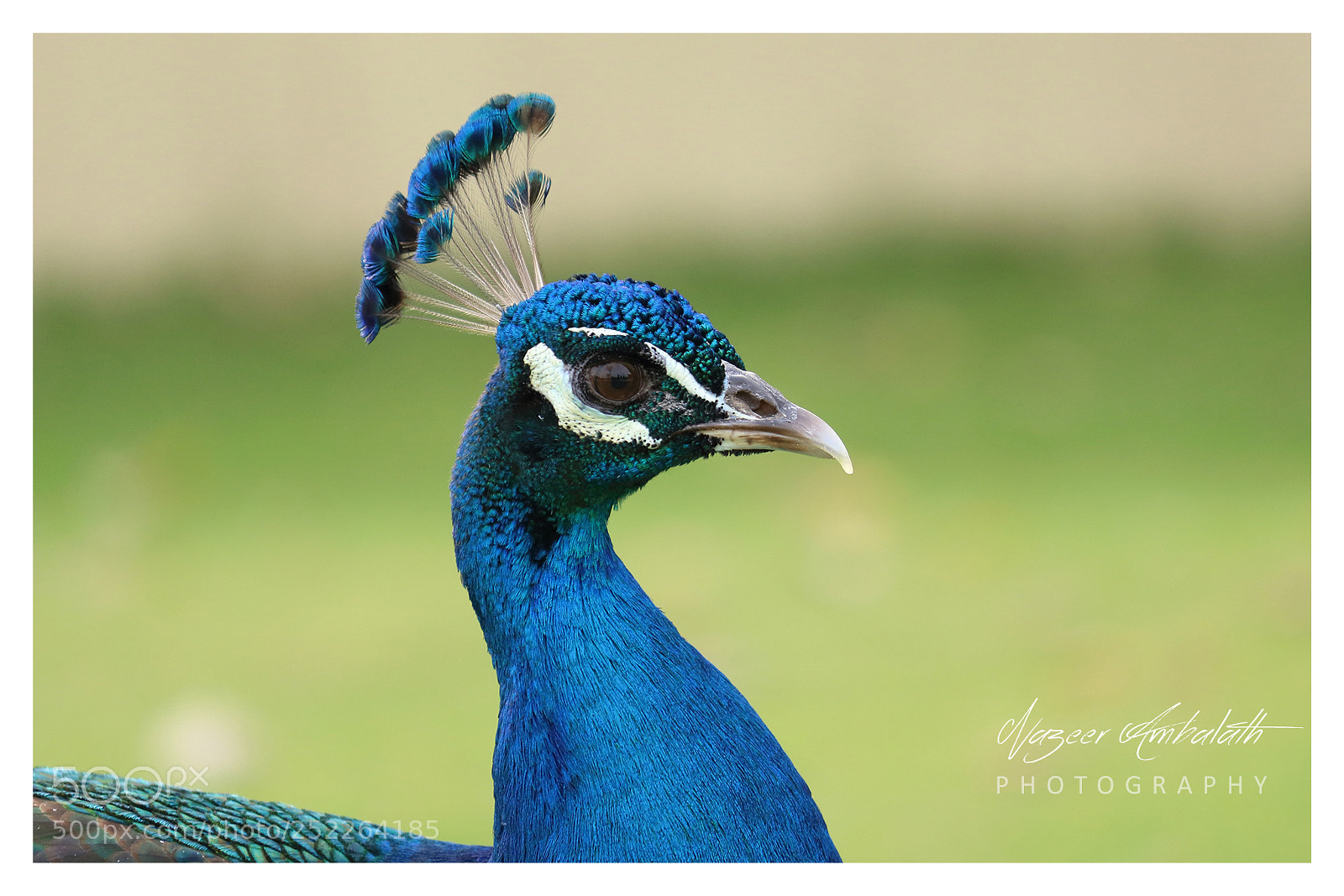 Canon EOS 80D sample photo. Untitled photography