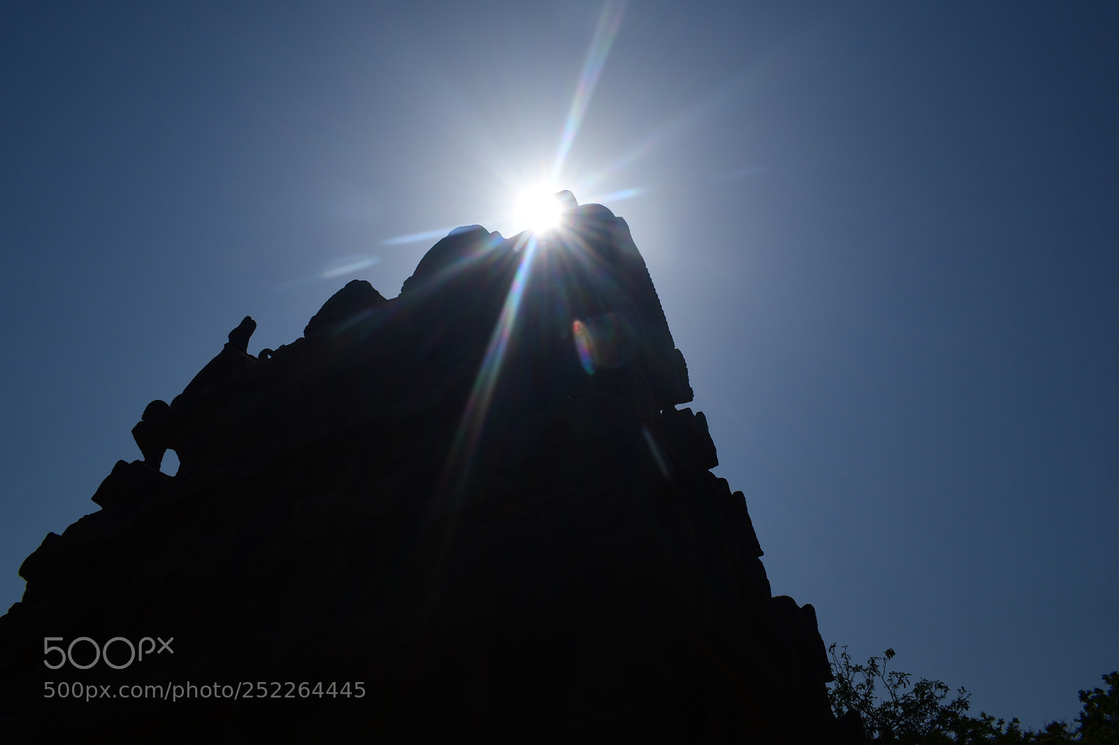 Nikon D5500 sample photo. Untitled photography
