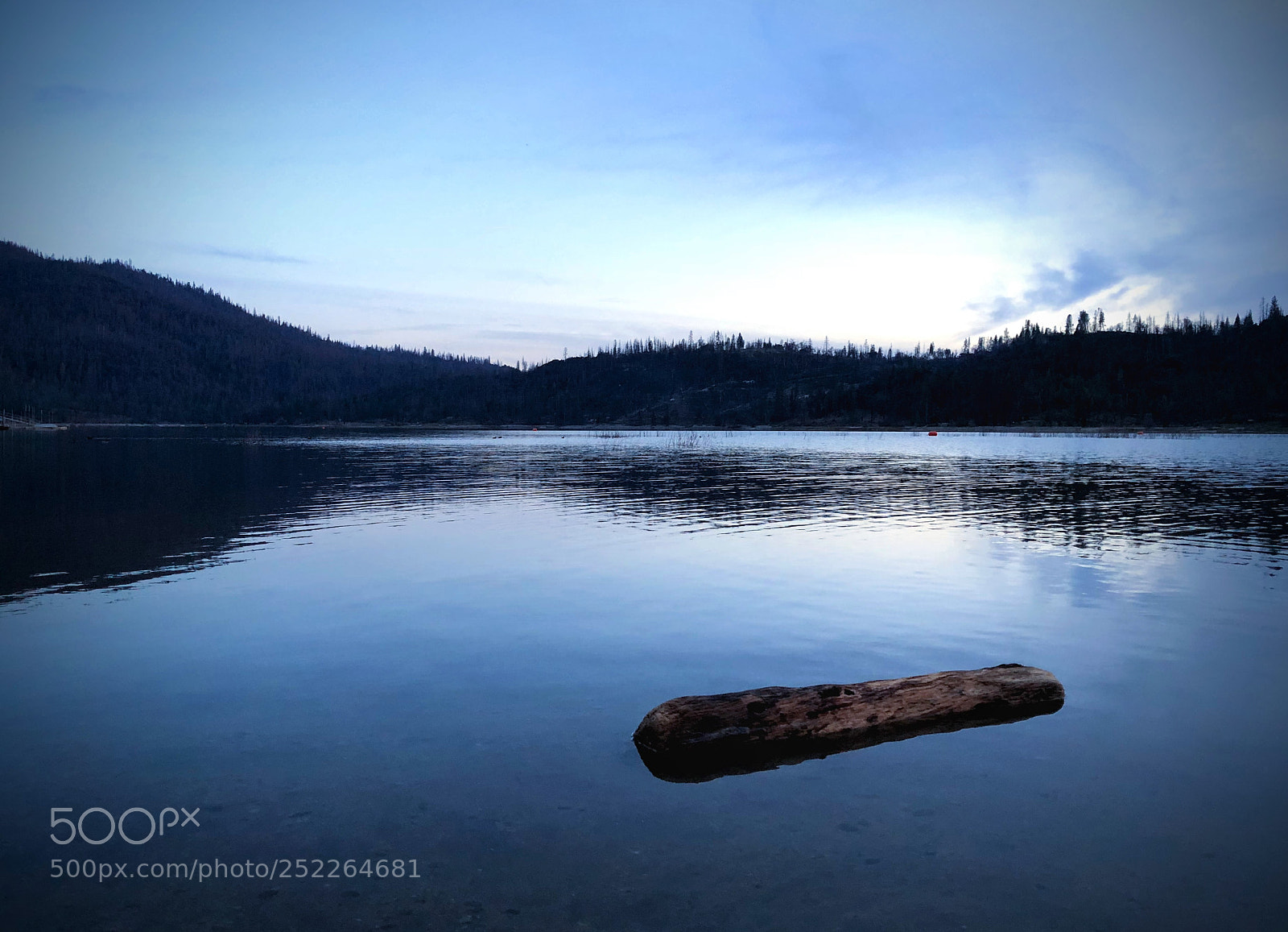 Apple iPhone 8 Plus sample photo. Log in bass lake photography