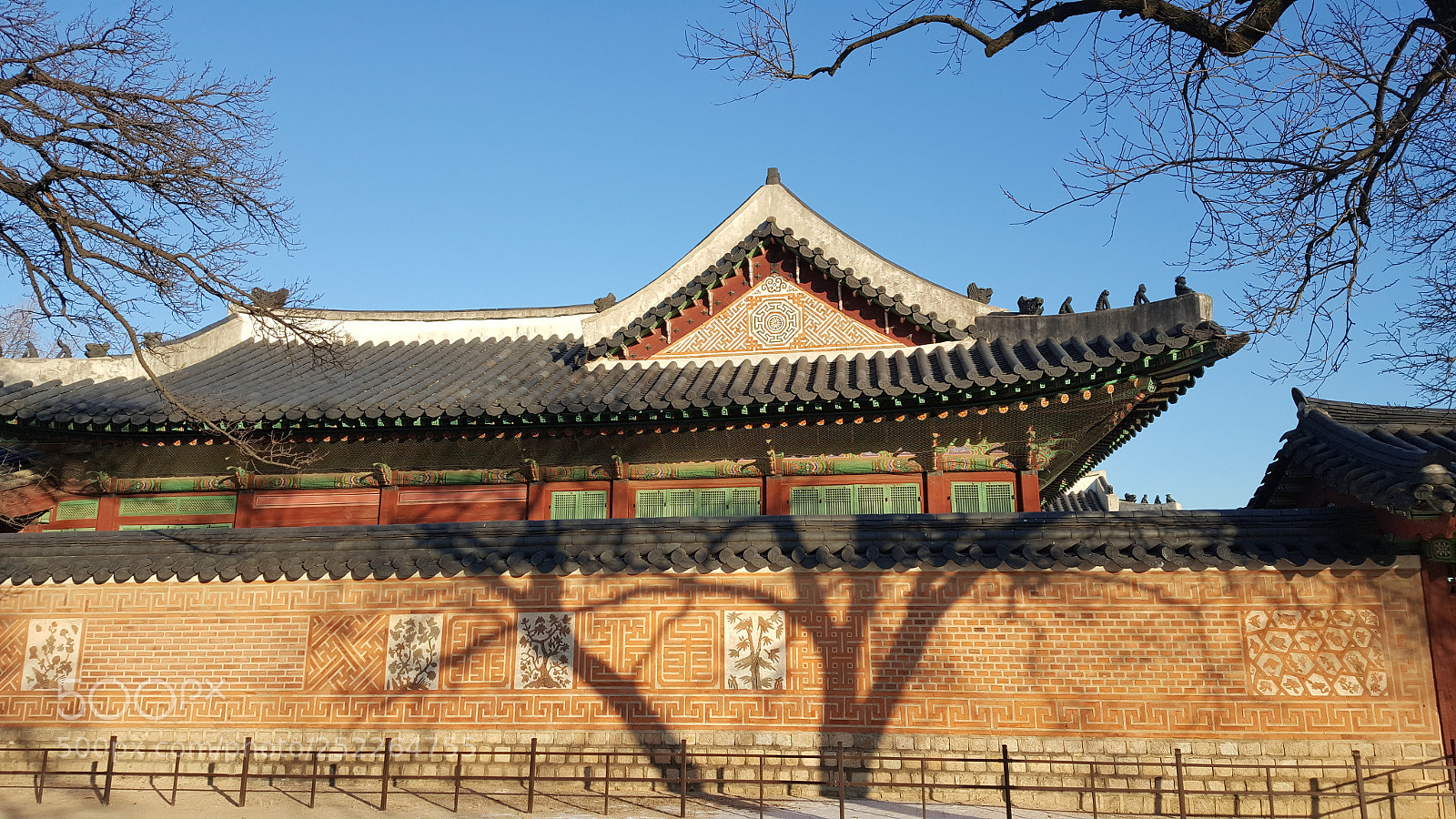 Samsung Galaxy Note5 sample photo. Behind the shadow photography