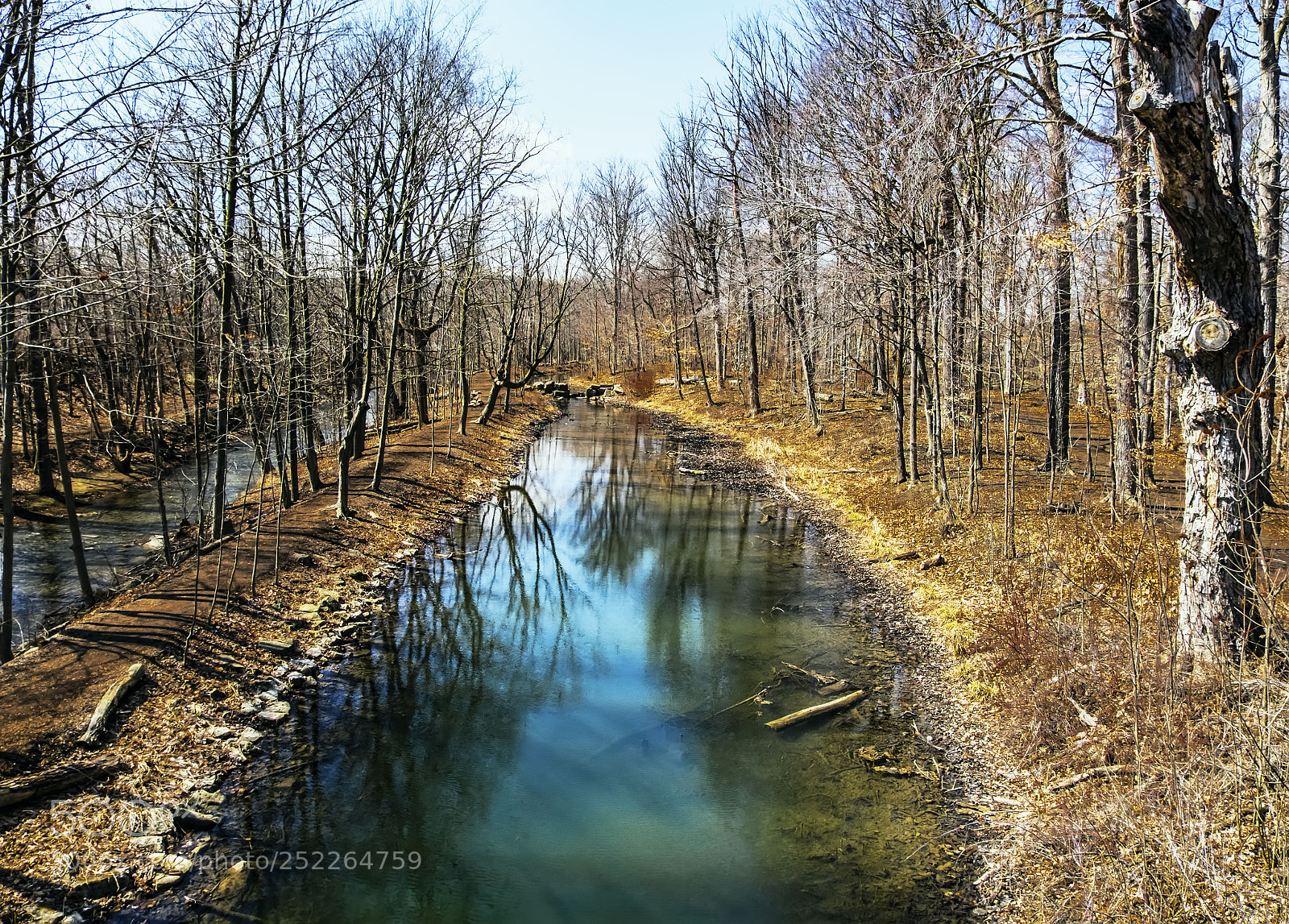 Fujifilm X-E2 sample photo. Mill pond park-milton photography