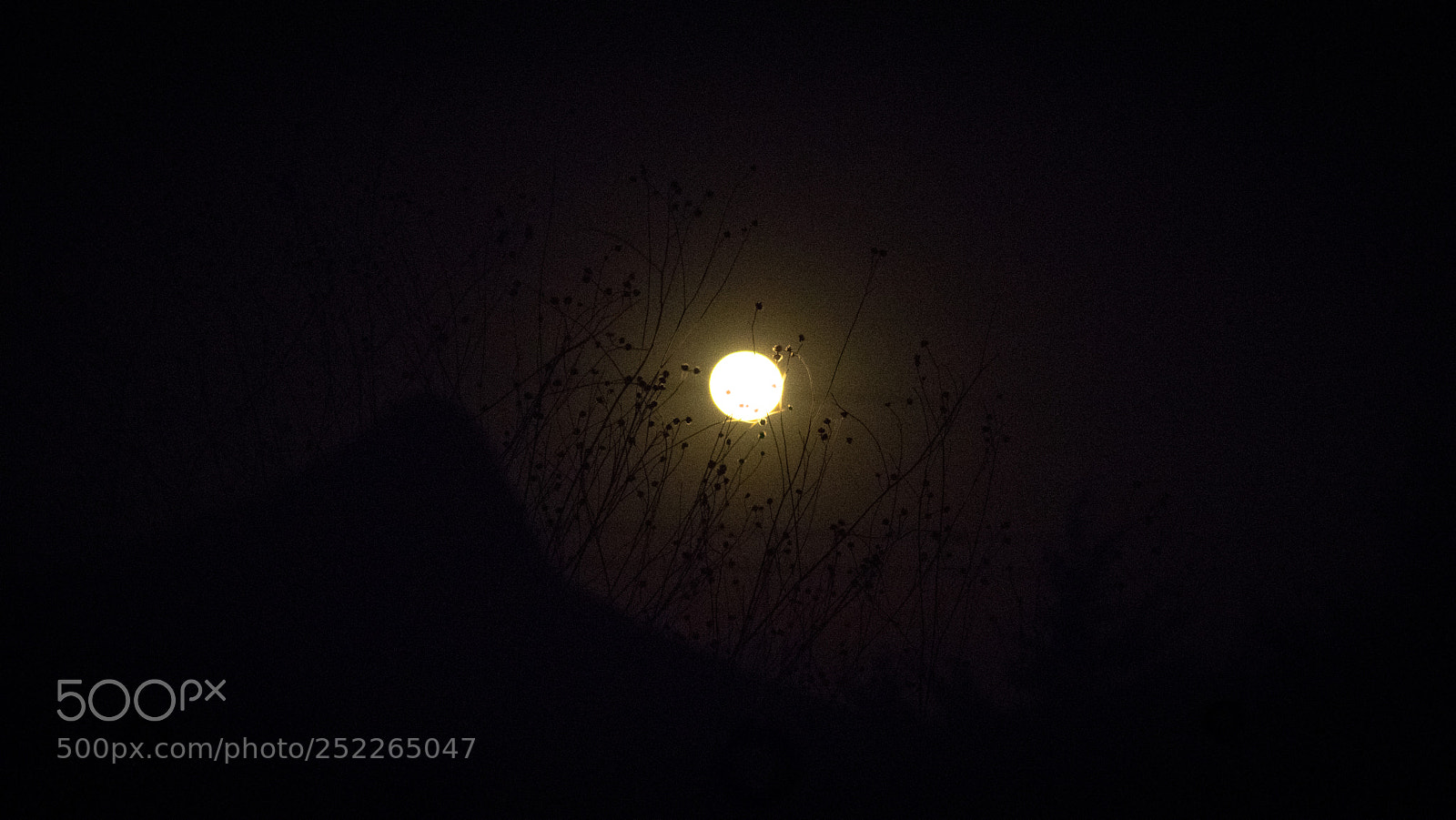 Canon EOS 80D sample photo. Luna lunera photography