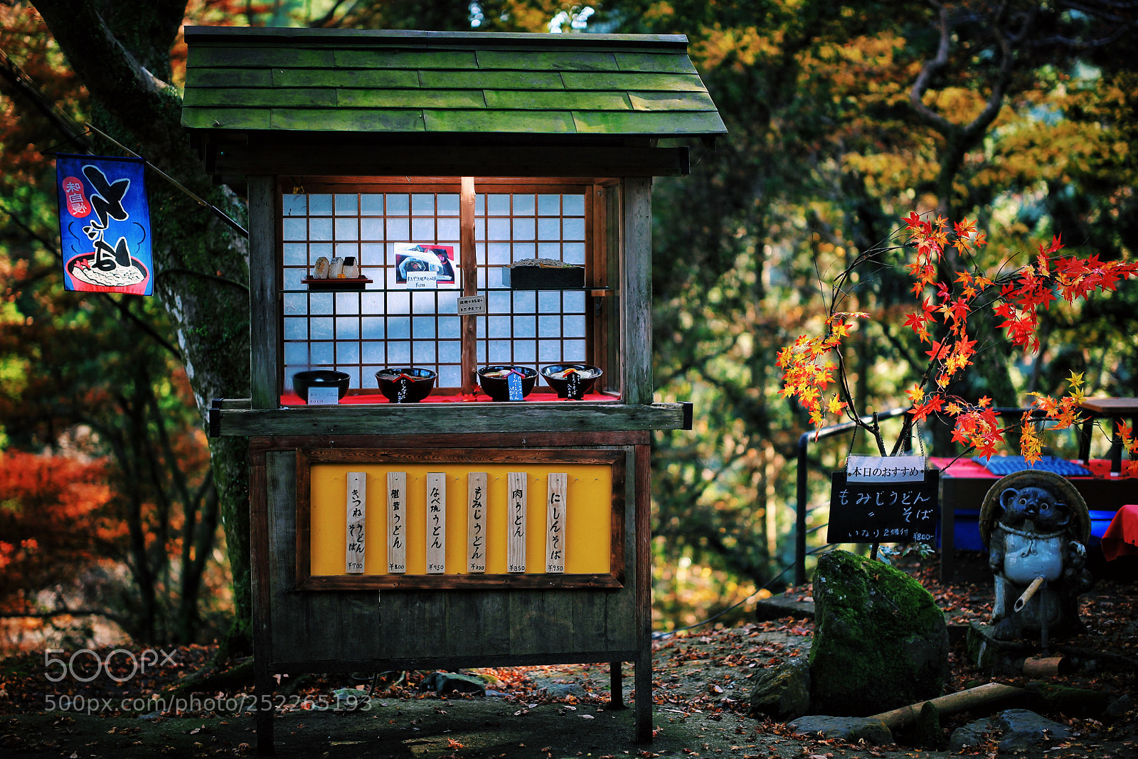 Canon EOS 5D Mark II sample photo. The color of the photography