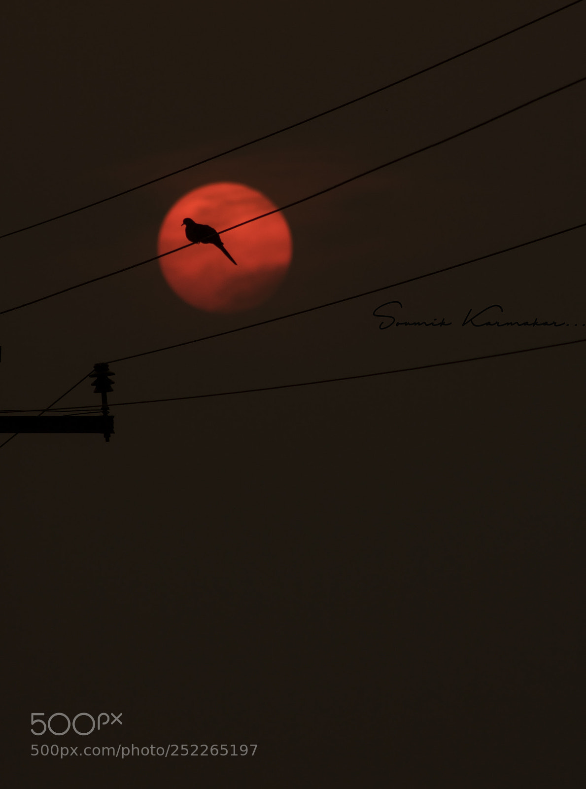 Canon EOS 750D (EOS Rebel T6i / EOS Kiss X8i) sample photo. Untitled photography