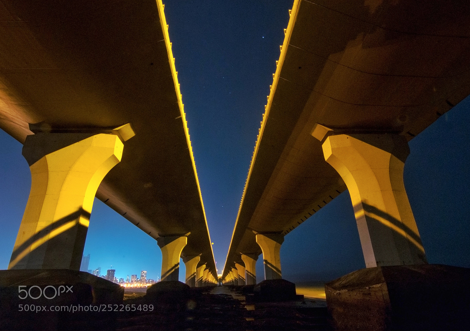 Nikon D5100 sample photo. Perspection photography
