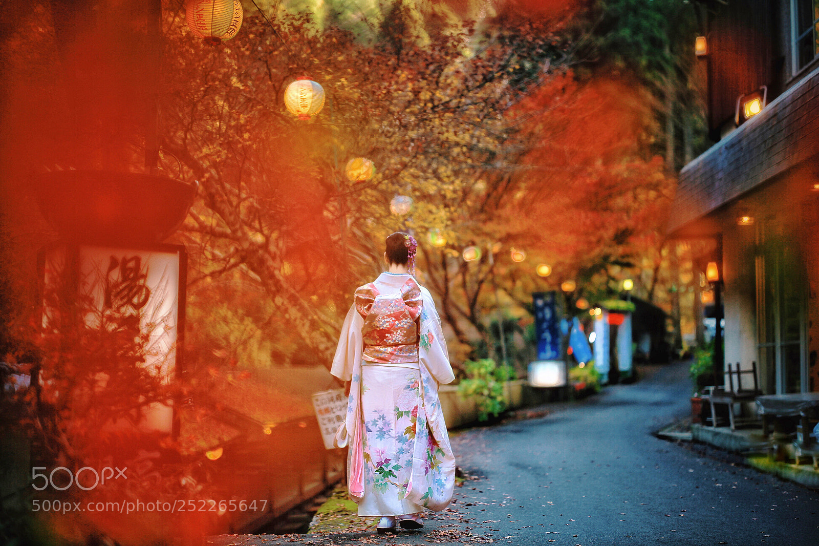 Canon EOS 5D Mark II sample photo. Red photography