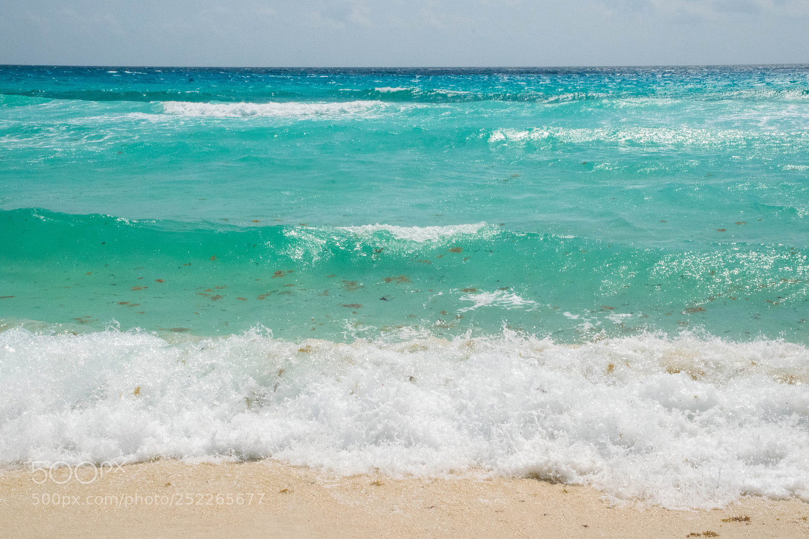 Nikon D5300 sample photo. Blue photography