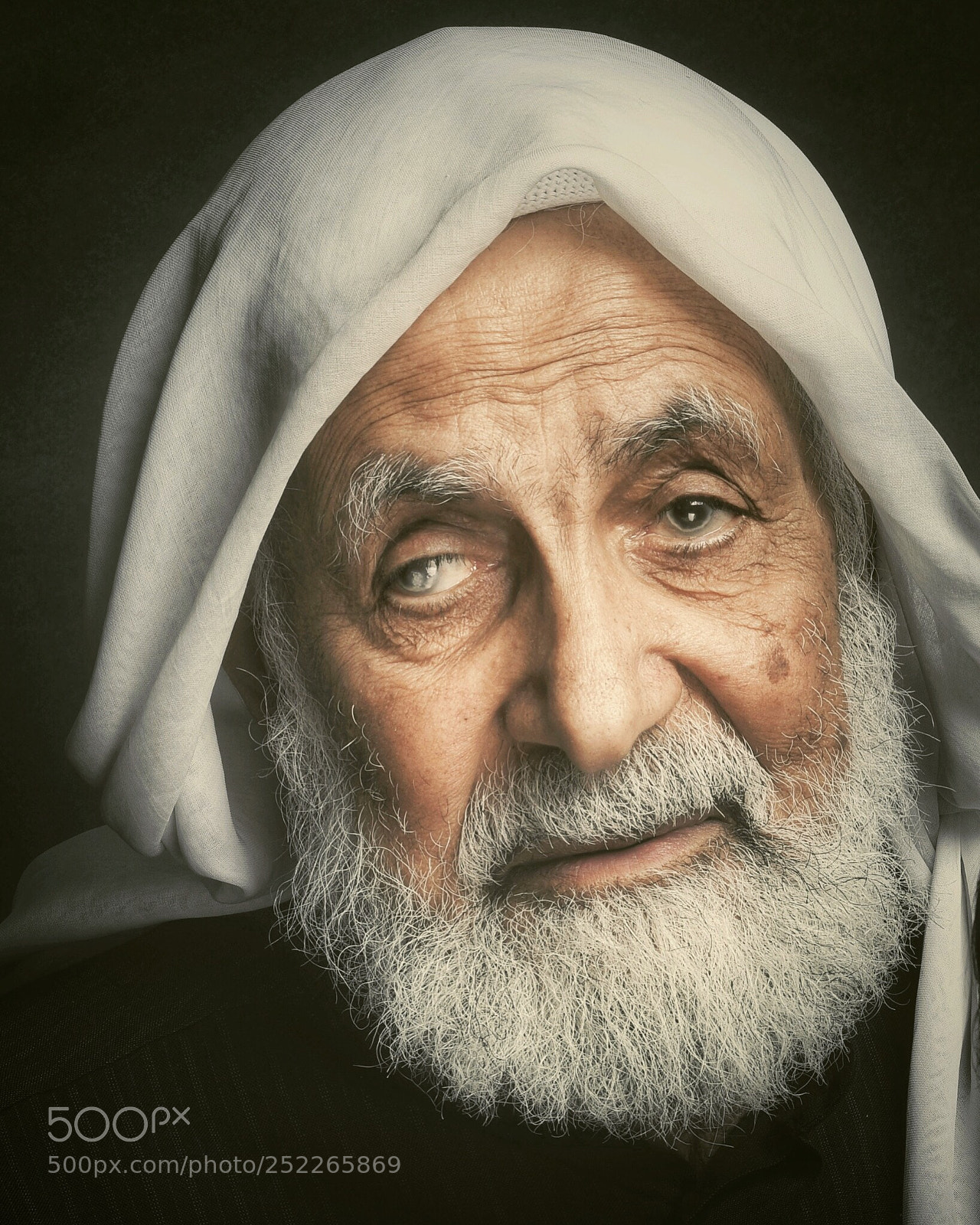 Nikon D810 sample photo. Untitled photography