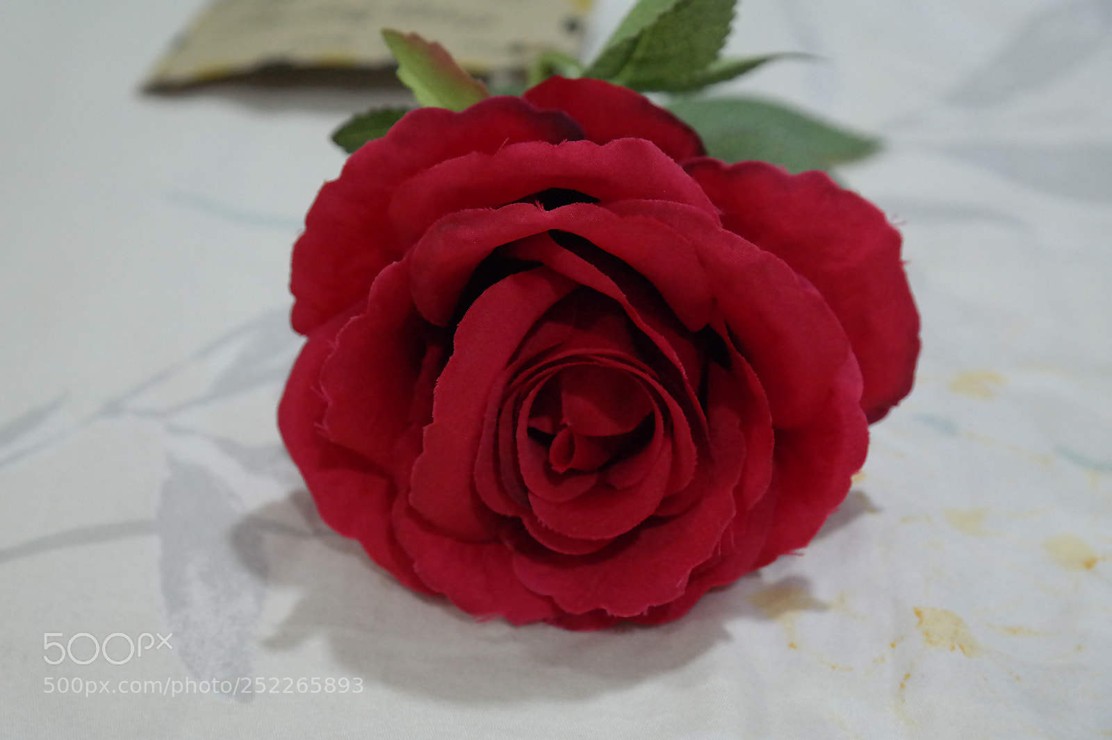 Samsung NX300 sample photo. Red beauty. photography