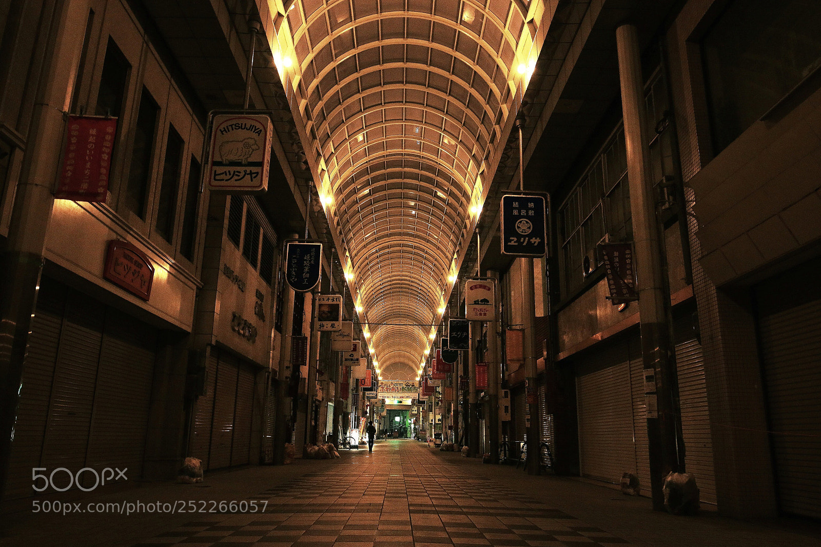 Canon EOS 70D sample photo. Places that flourished once photography