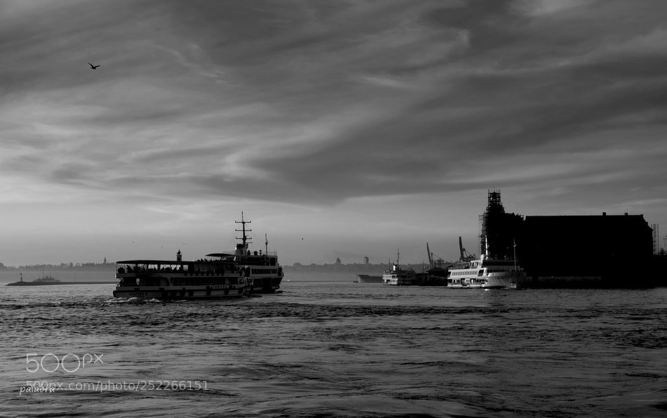 Samsung NX30 sample photo. ... photography