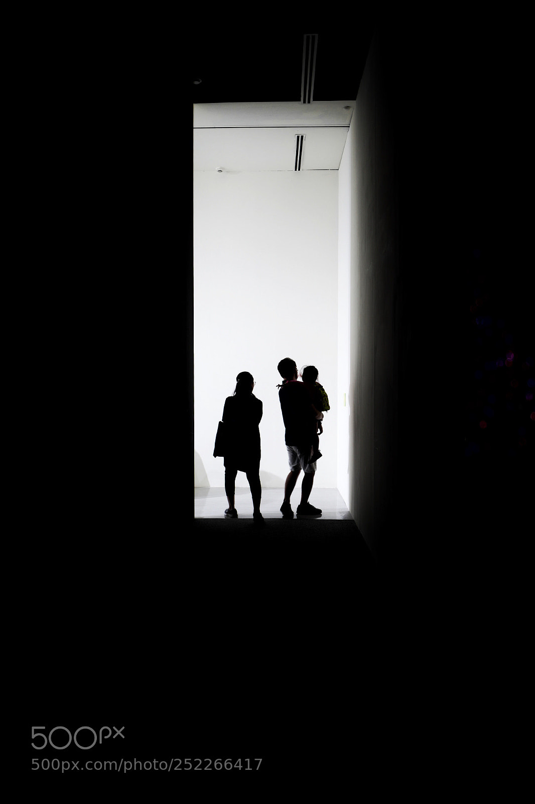 Leica Q (Typ 116) sample photo. Toward the light ～ photography