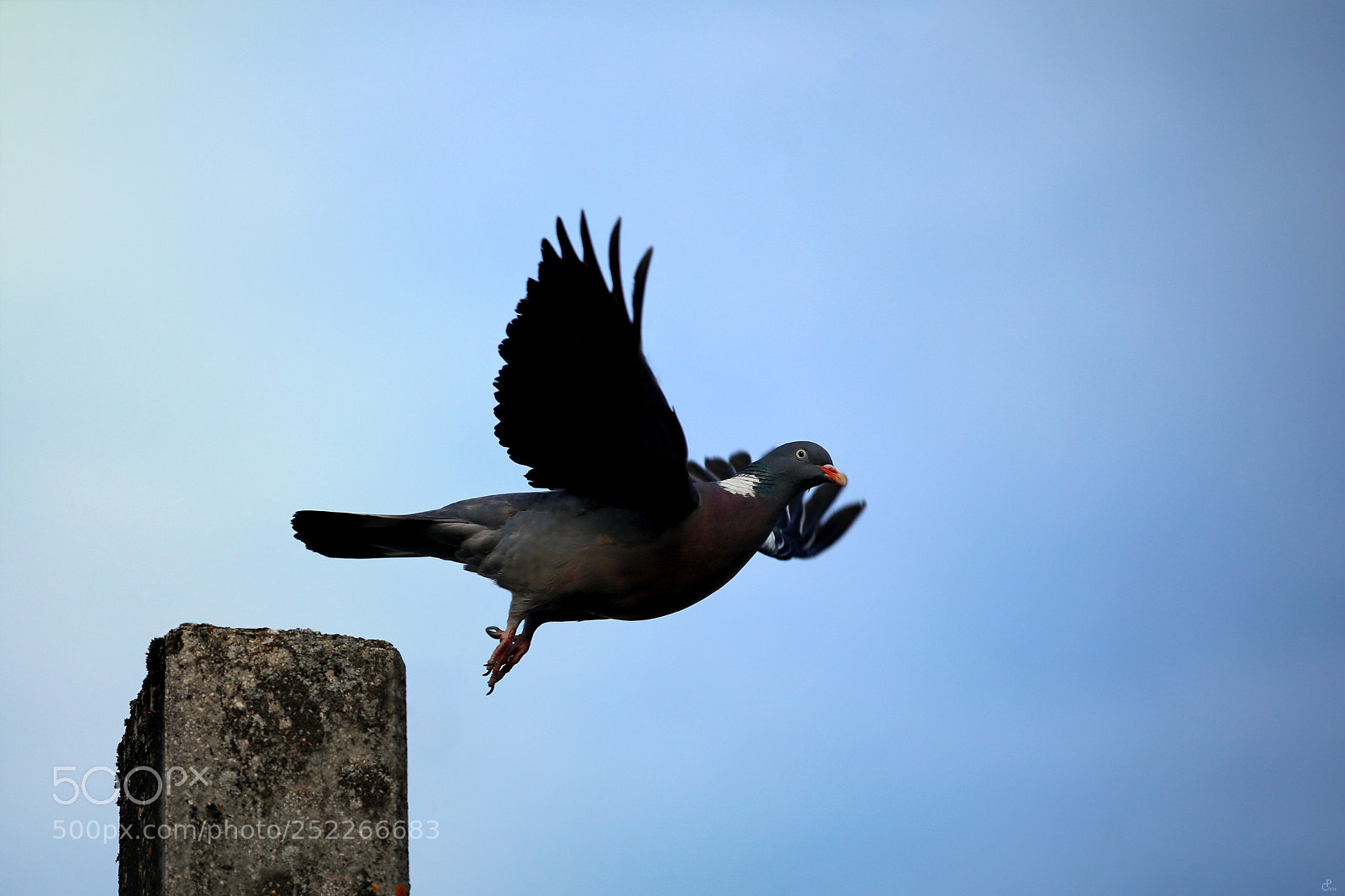 Canon EOS 5D Mark IV sample photo. Abflug... photography