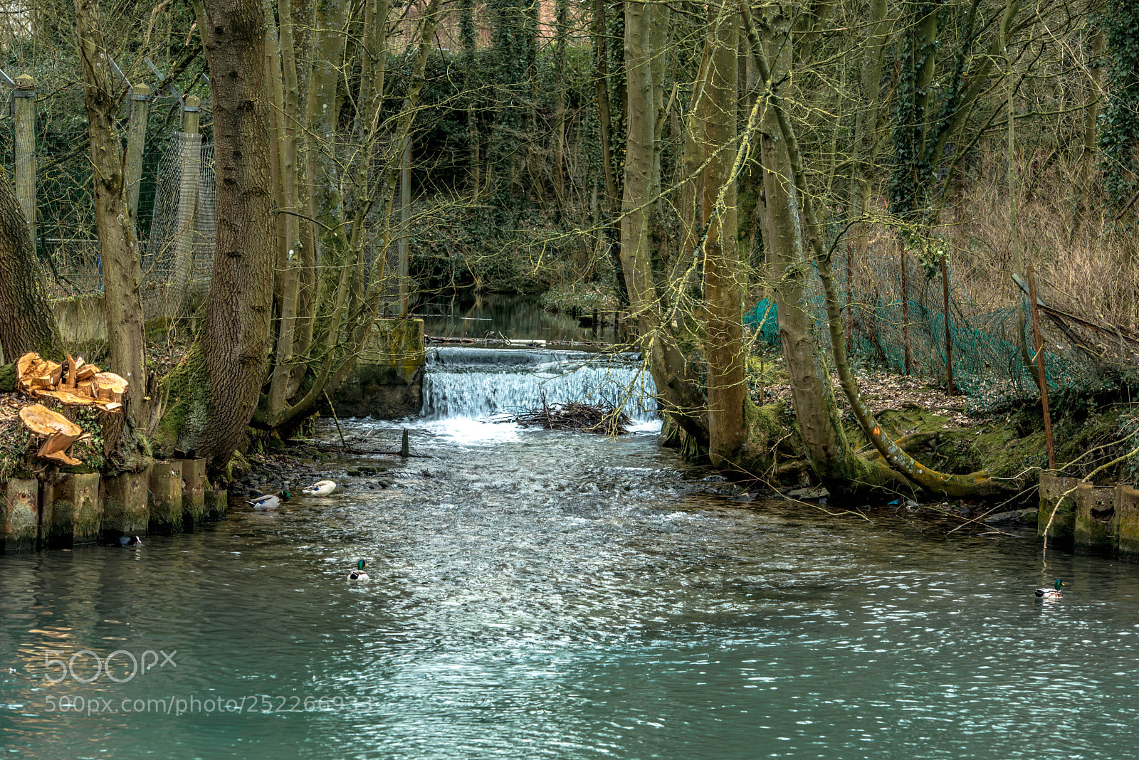 Nikon D800 sample photo. Saint laurent blangy.france. photography
