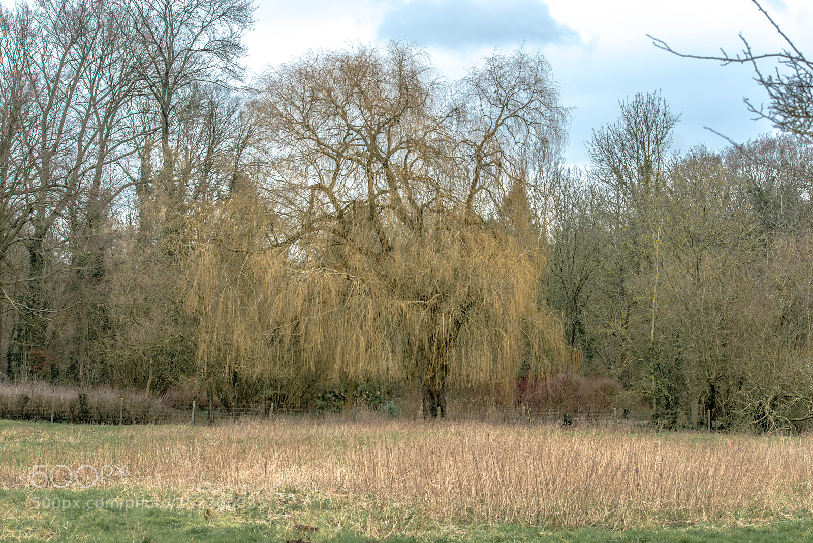 Nikon D800 sample photo. Saint laurent blangy.france. photography