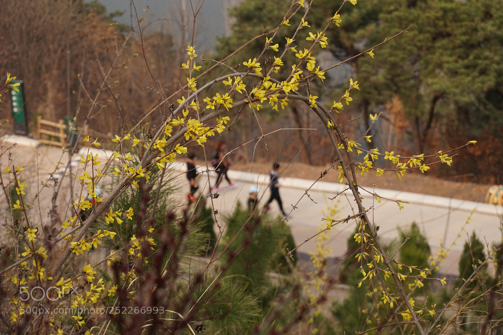 Sony a6000 sample photo. Untitled photography