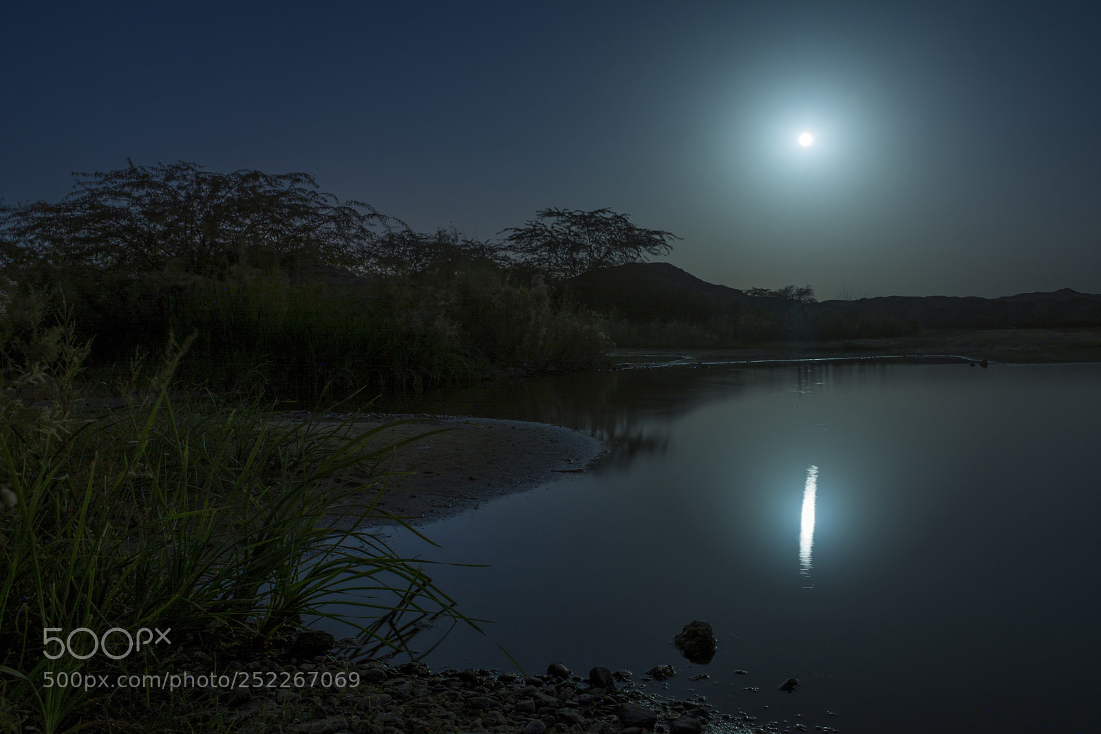 Nikon D7100 sample photo. Moonlight photography