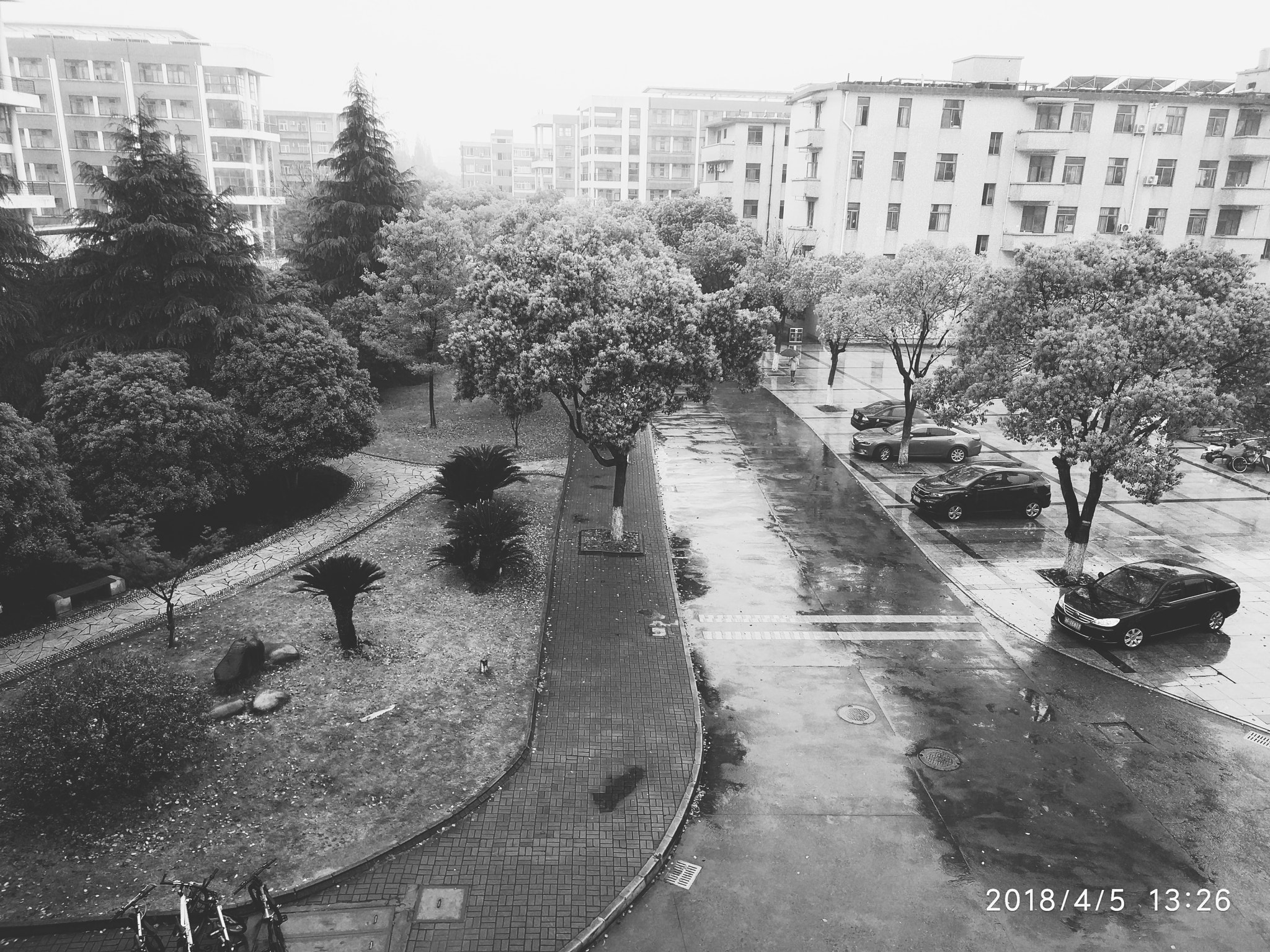 Xiaomi MI 5s sample photo