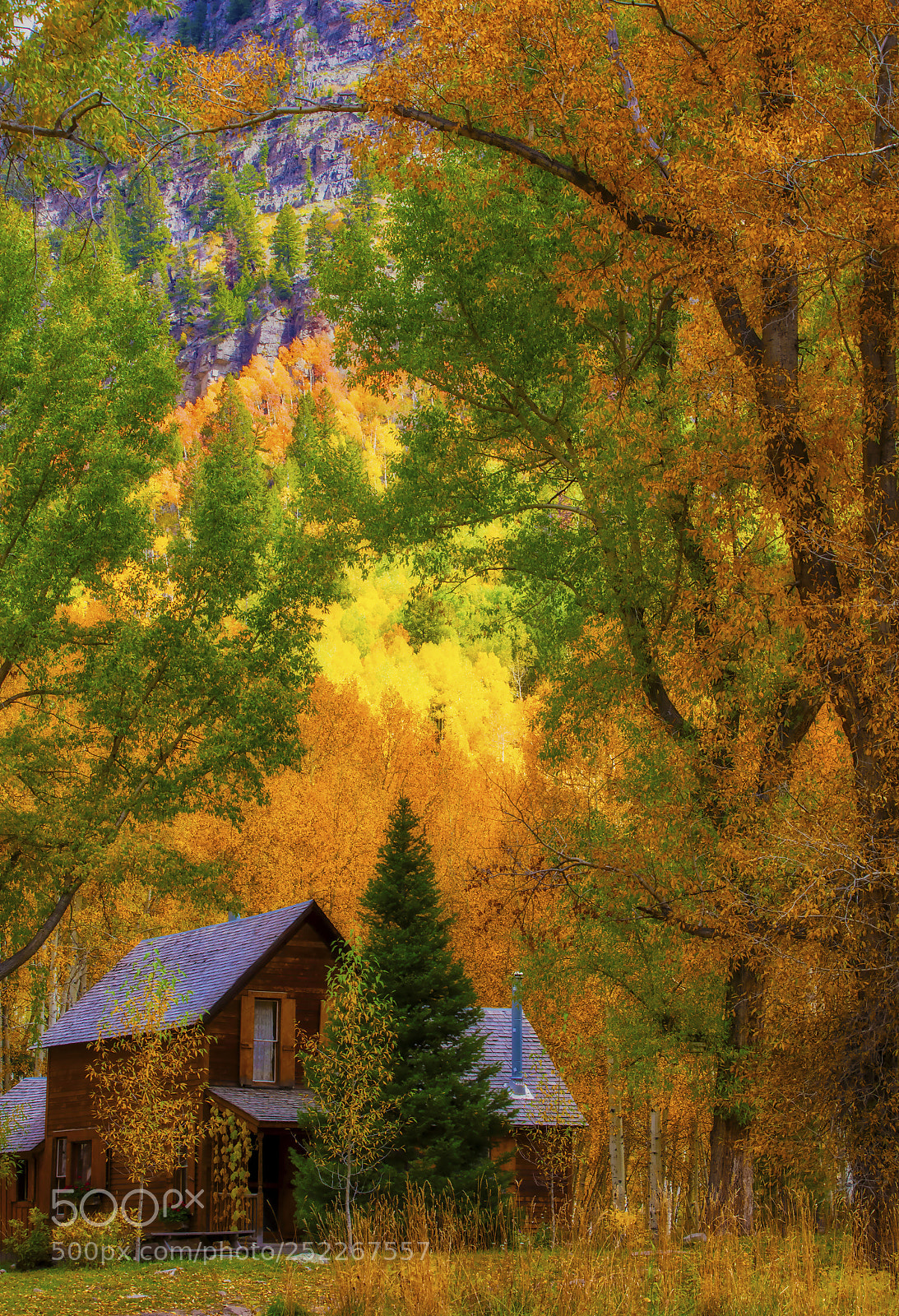 Canon EOS 5DS R sample photo. Crystal cabin photography
