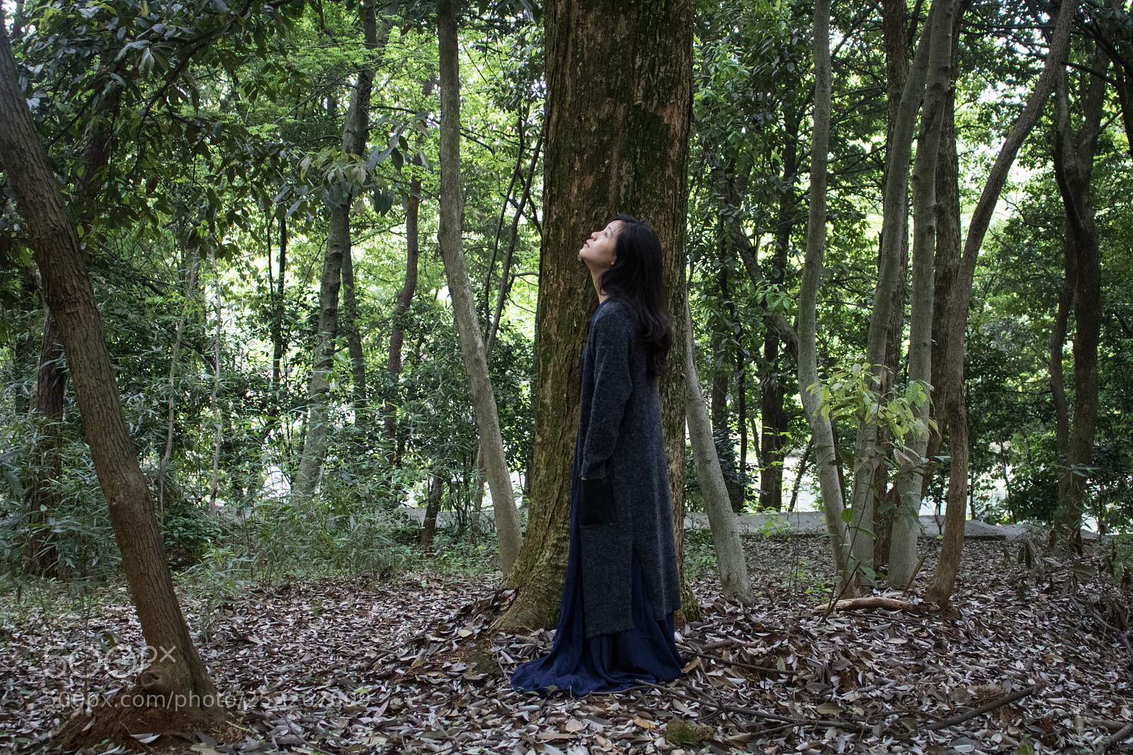 Canon EOS 750D (EOS Rebel T6i / EOS Kiss X8i) sample photo. Into the woods photography