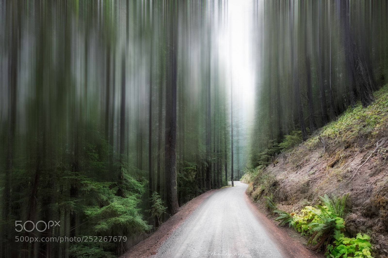 Canon EOS 5DS sample photo. Down the road photography