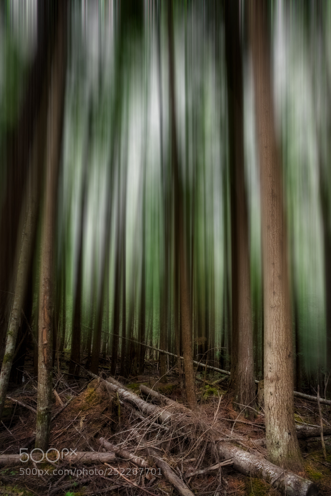 Canon EOS 5DS sample photo. Blur photography