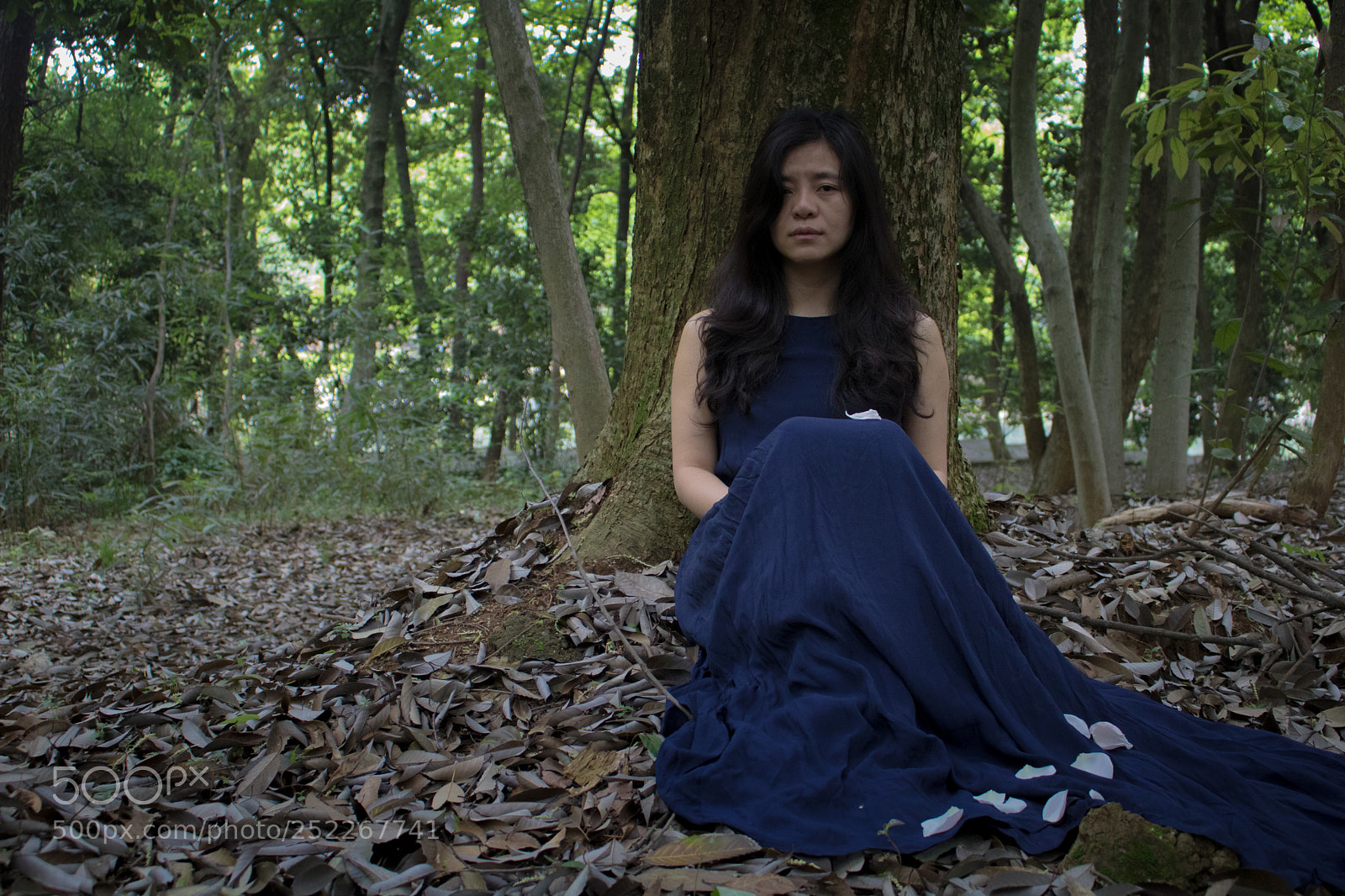 Canon EOS 750D (EOS Rebel T6i / EOS Kiss X8i) sample photo. Into the woods photography