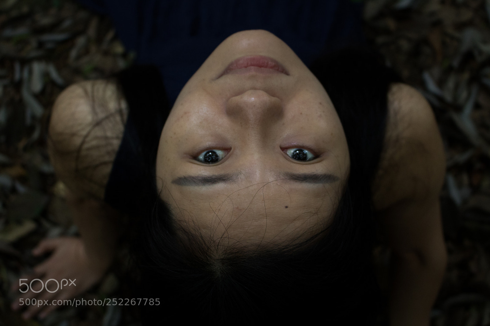 Canon EOS 750D (EOS Rebel T6i / EOS Kiss X8i) sample photo. Into the woods photography