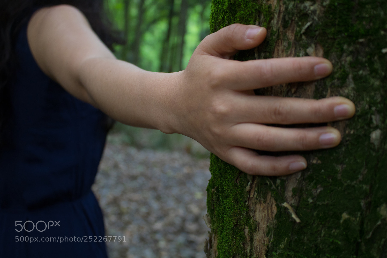 Canon EOS 750D (EOS Rebel T6i / EOS Kiss X8i) sample photo. Into the woods photography