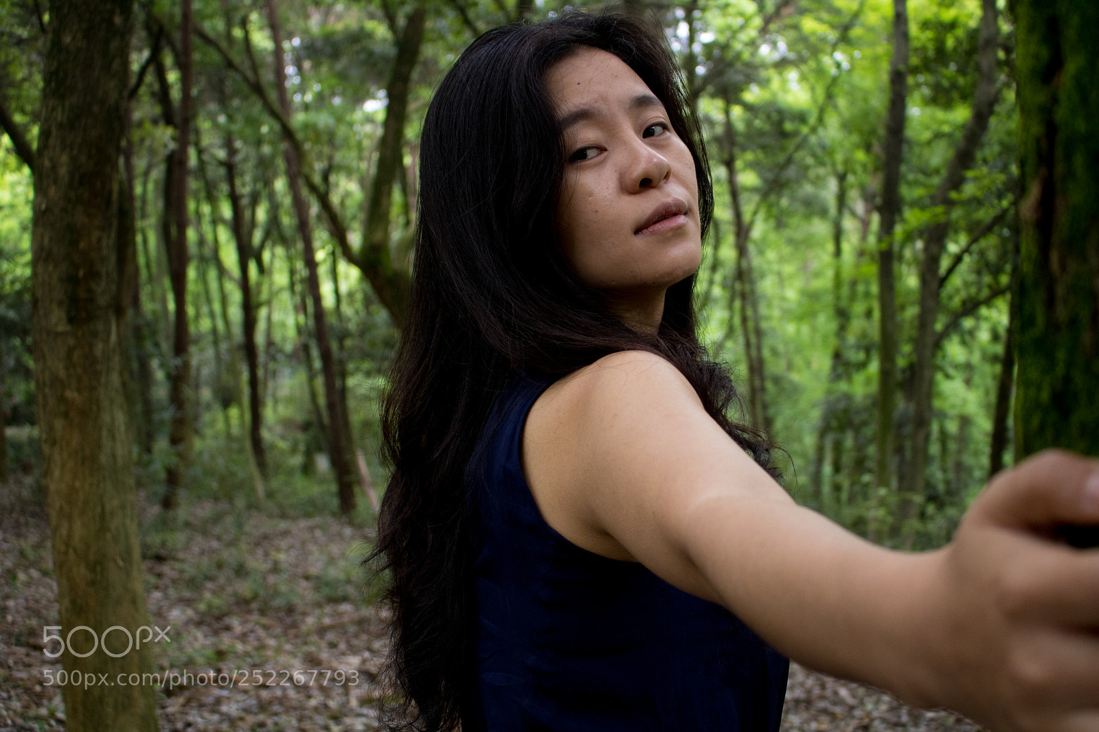 Canon EOS 750D (EOS Rebel T6i / EOS Kiss X8i) sample photo. Into the woods photography