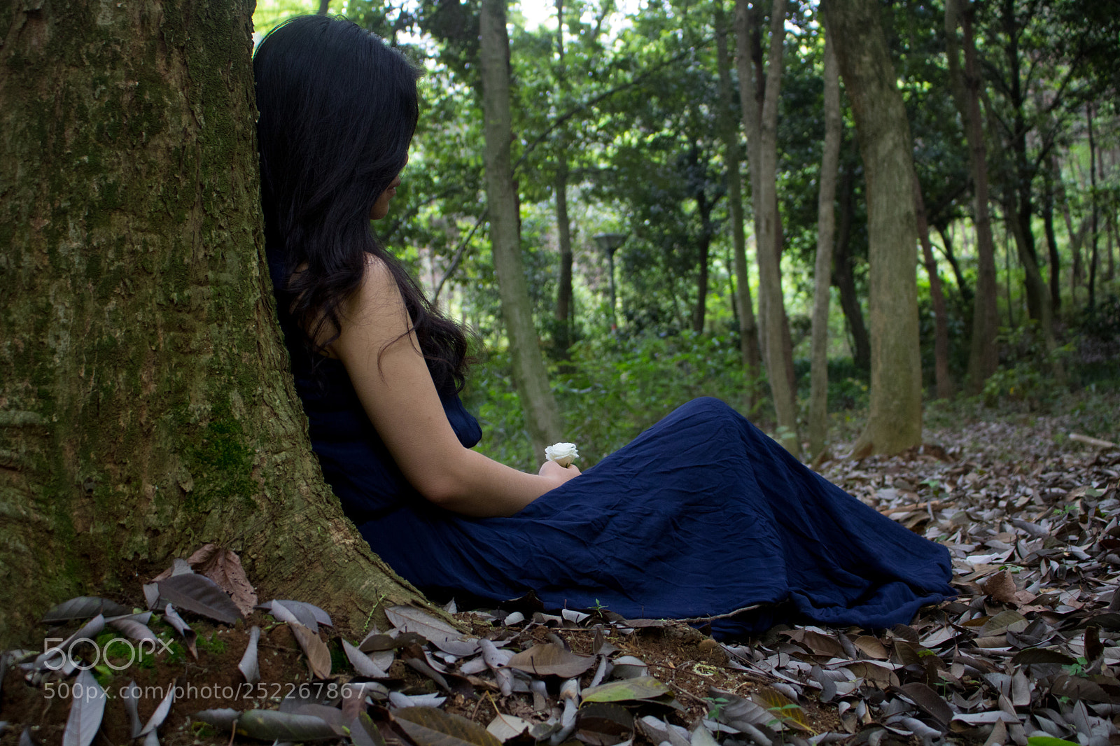 Canon EOS 750D (EOS Rebel T6i / EOS Kiss X8i) sample photo. Into the woods photography