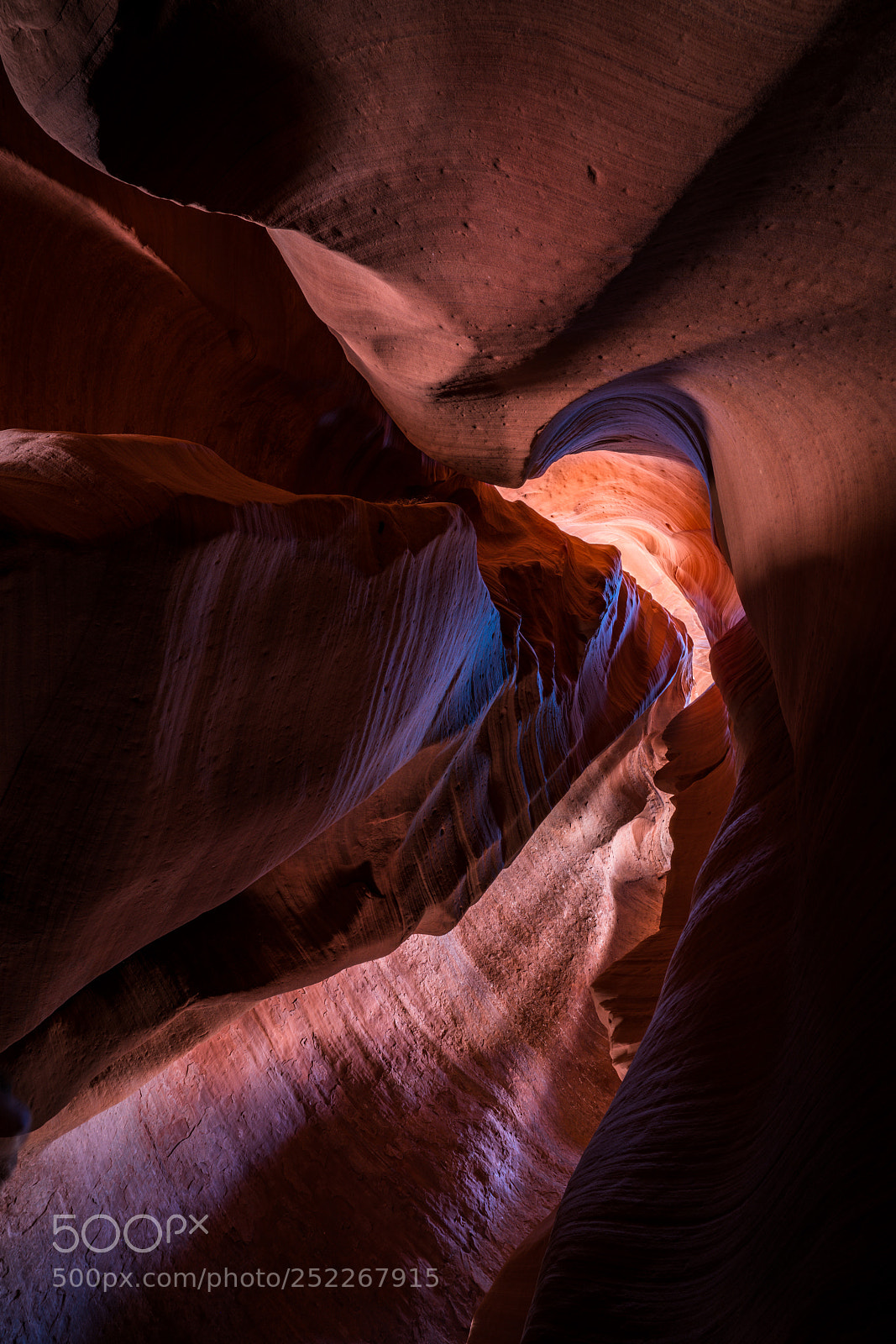 Sony a7R II sample photo. Looking up photography