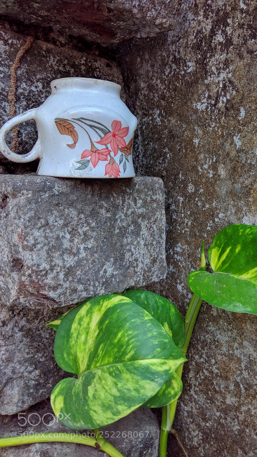 Xiaomi Redmi Note 4 sample photo. Untitled photography