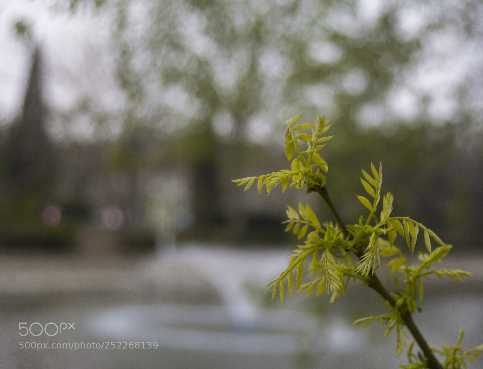 Nikon D3000 sample photo. Untitled photography