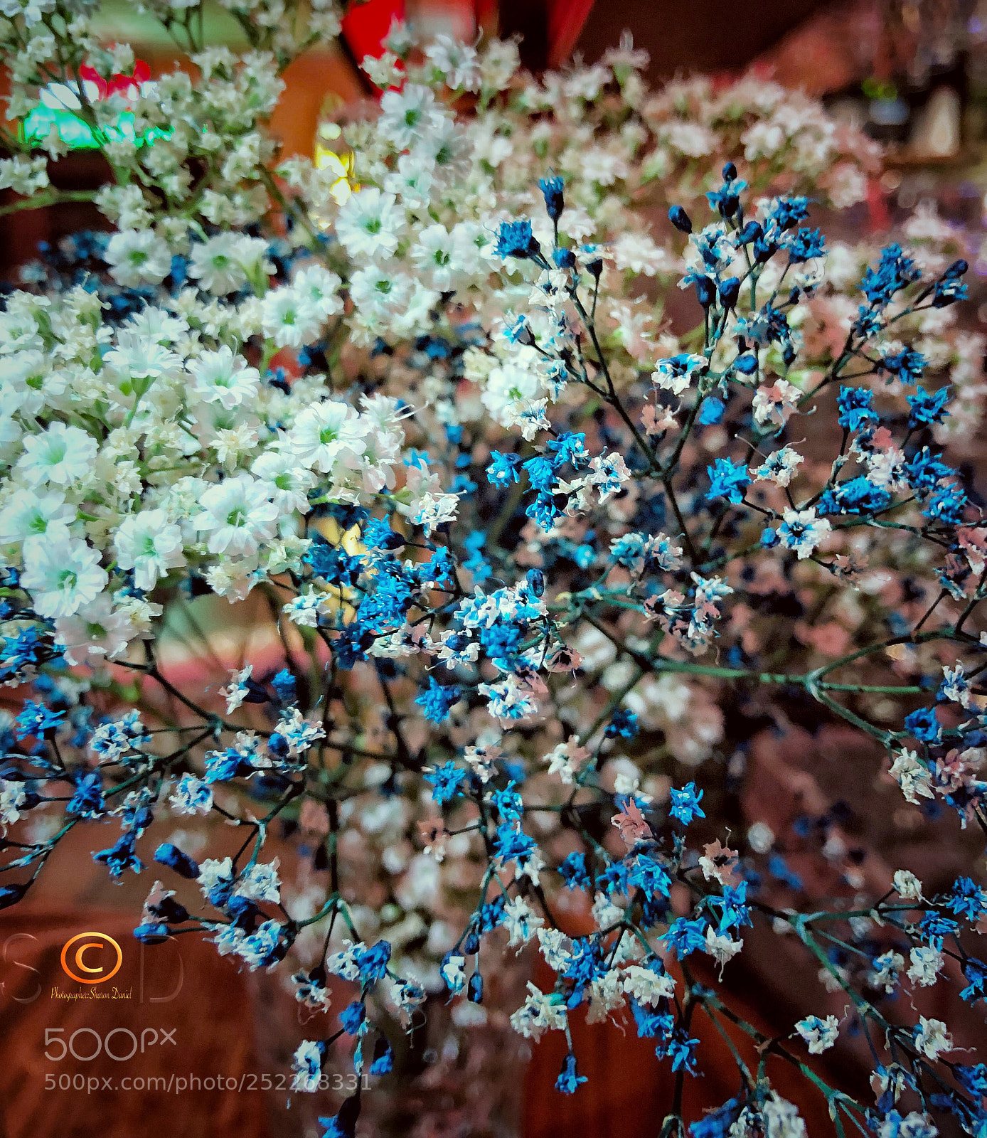 Apple iPhone X sample photo. Untitled photography