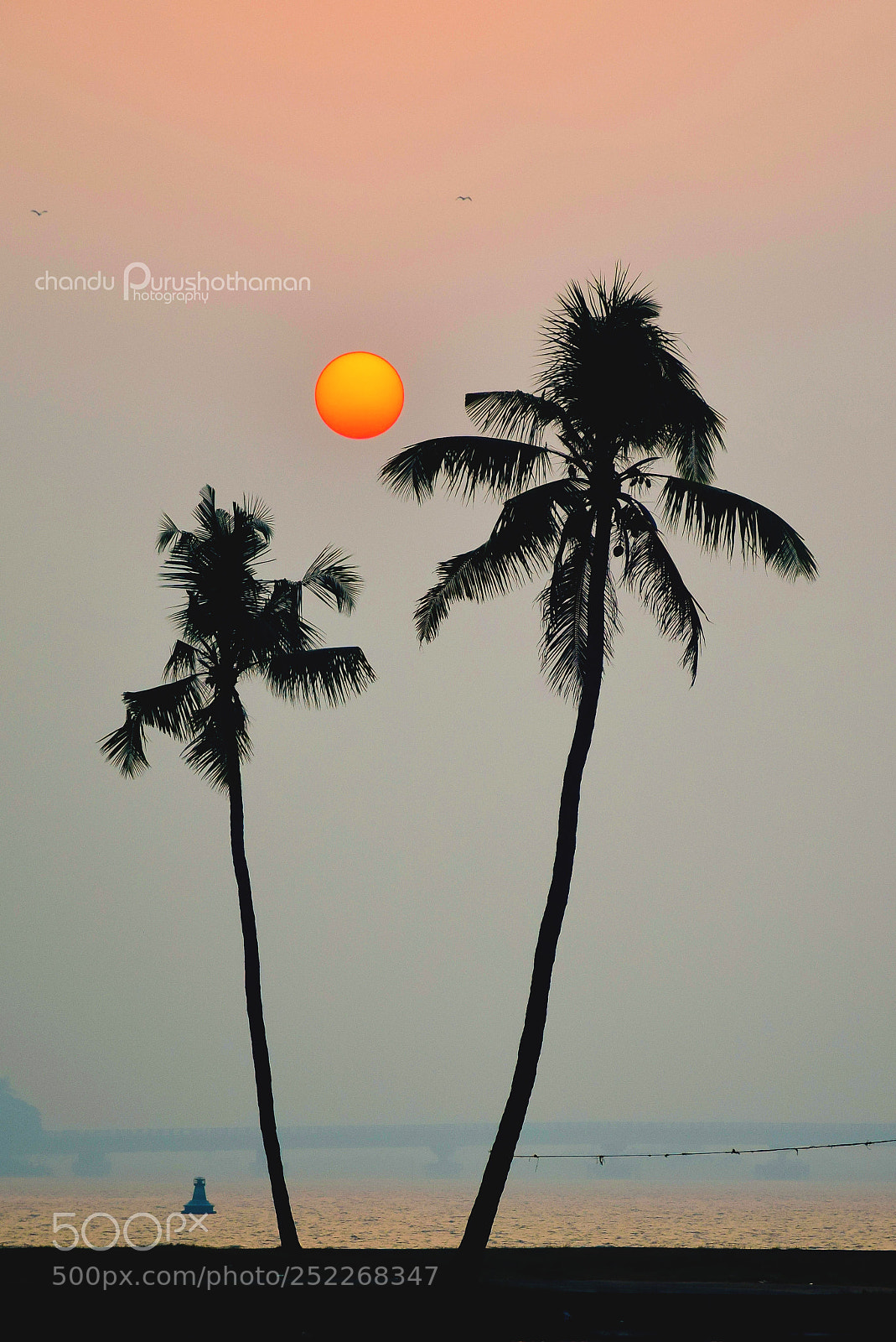 Nikon D5300 sample photo. Kerala photography