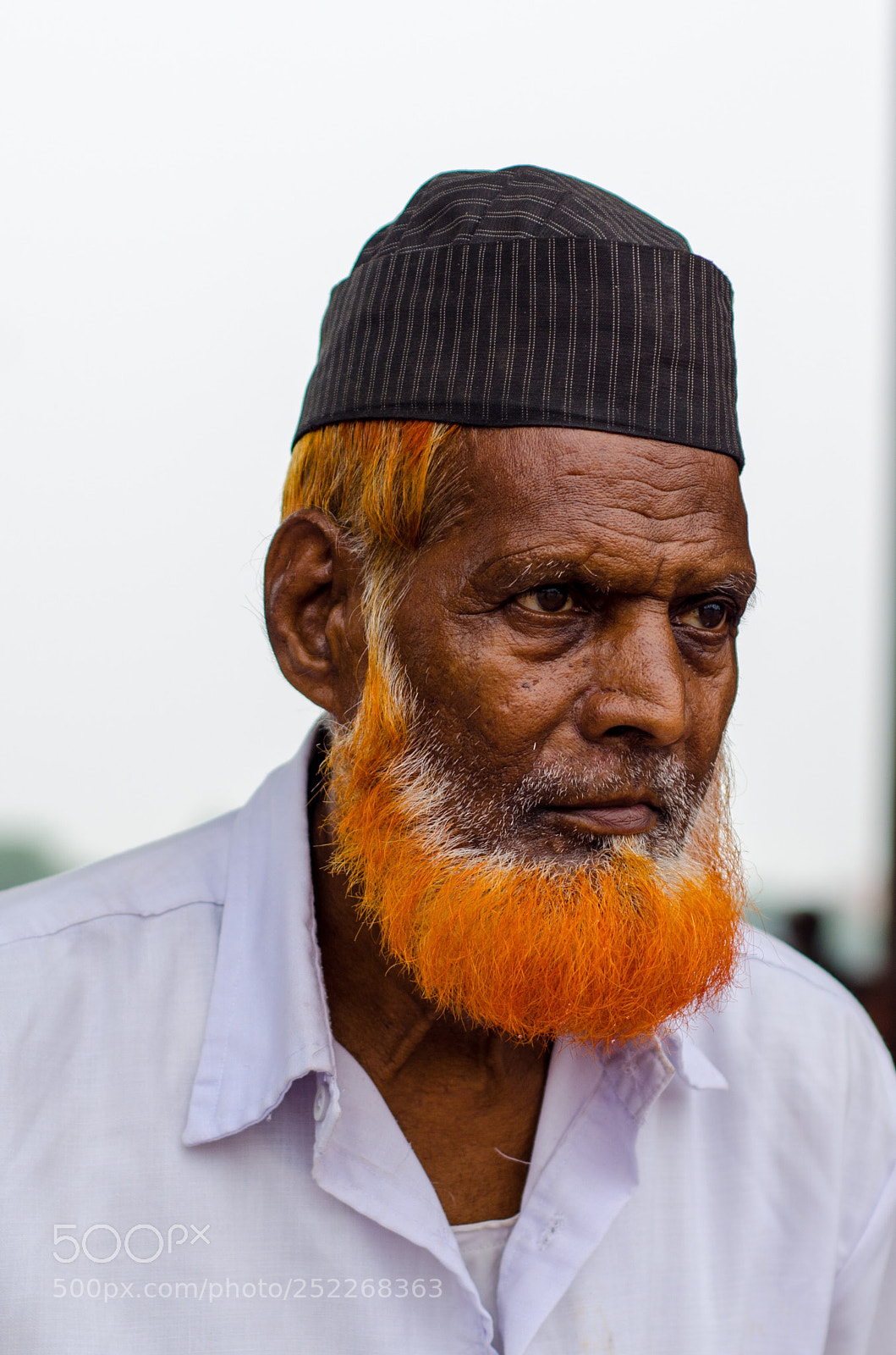 Nikon D7000 sample photo. Orange photography