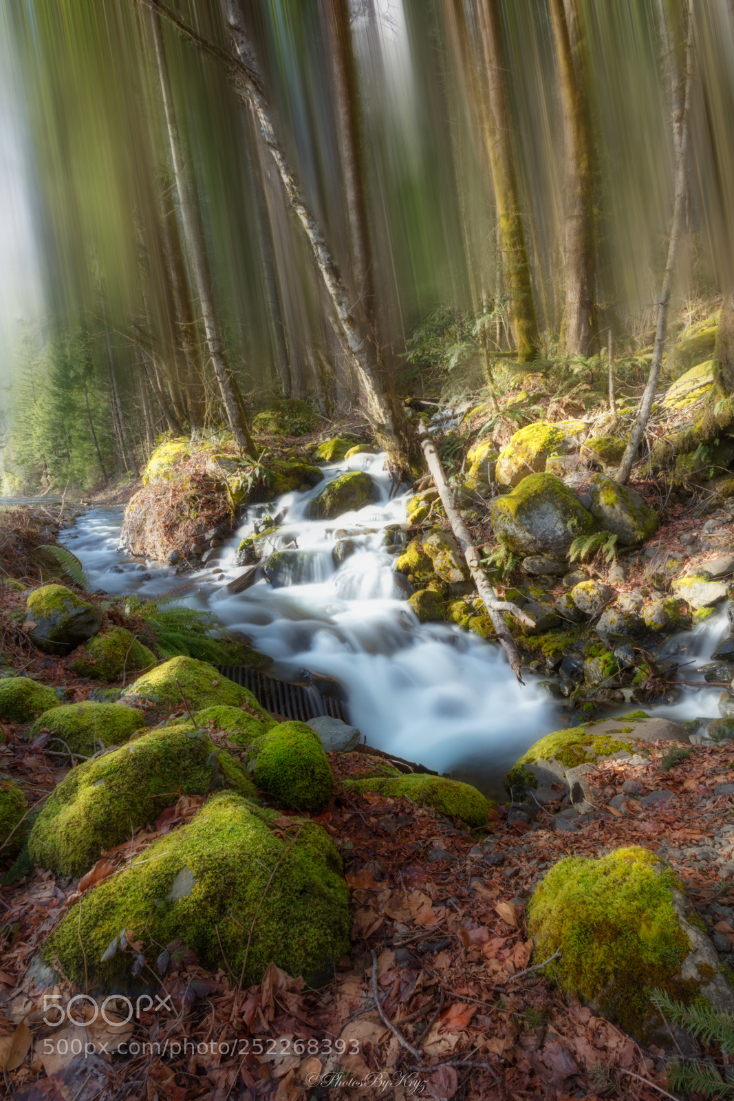 Canon EOS 5DS sample photo. Falls near lake cushman photography