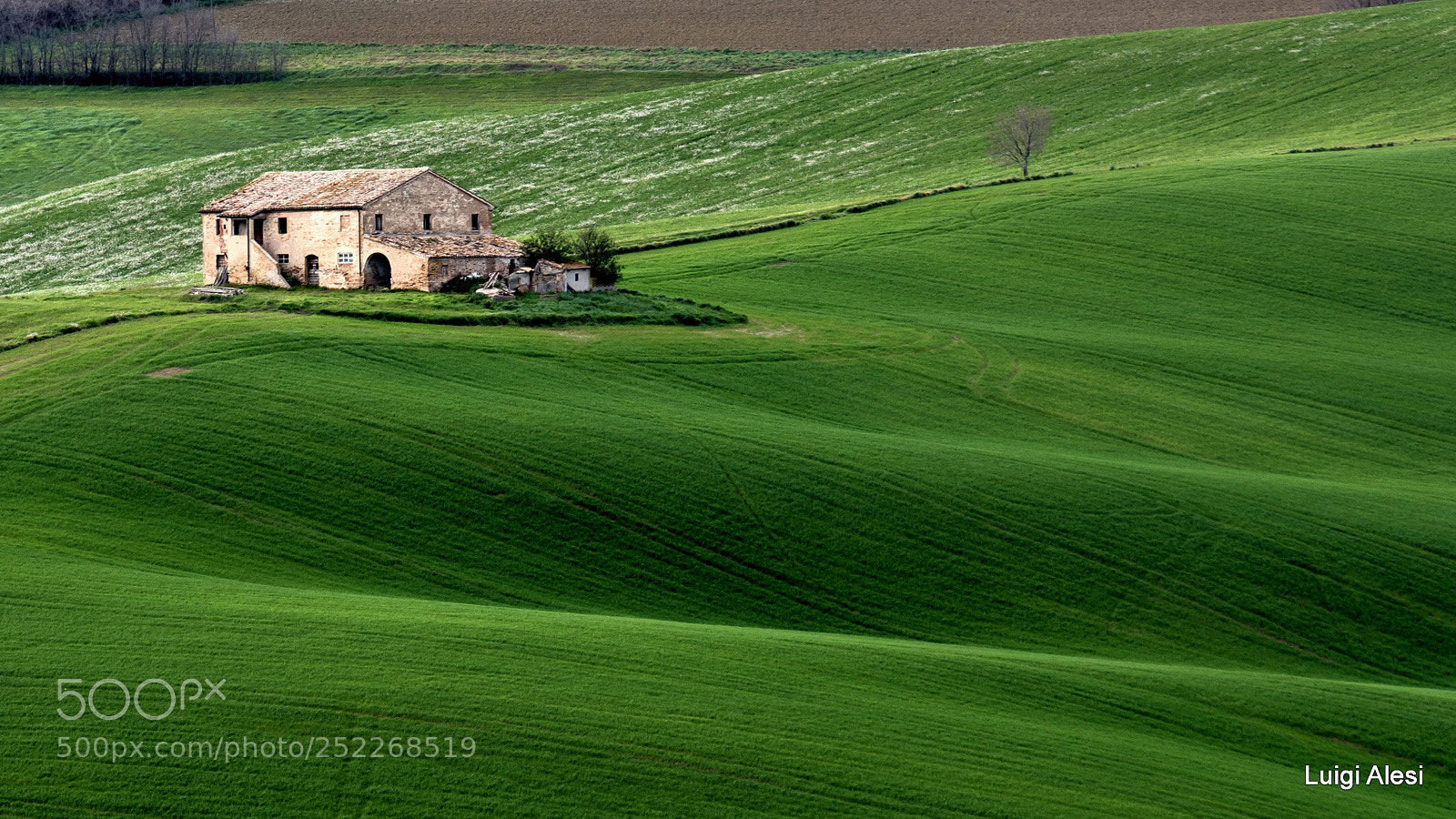 Nikon D7100 sample photo. Marche countryside photography