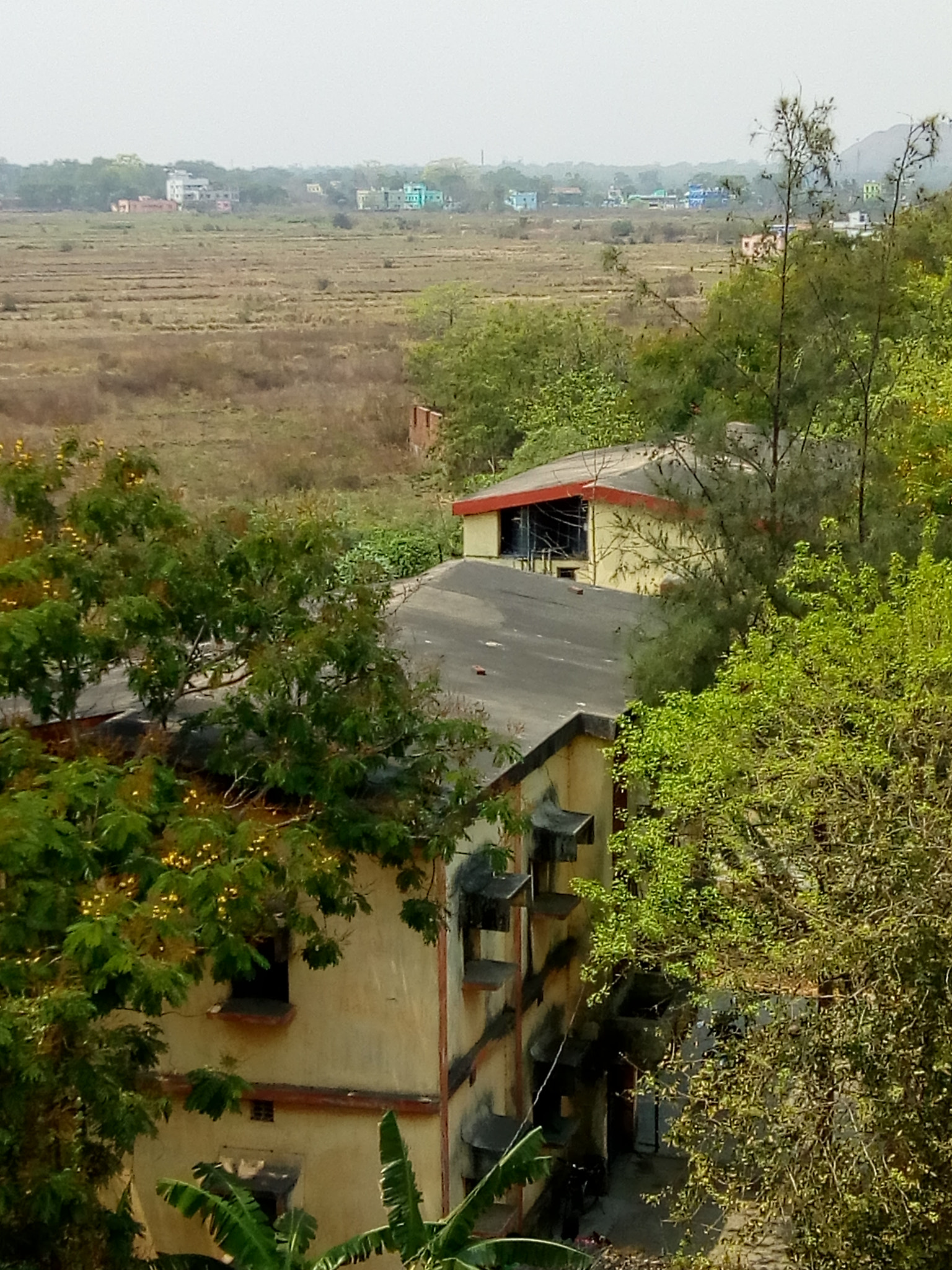 Motorola Moto C Plus sample photo