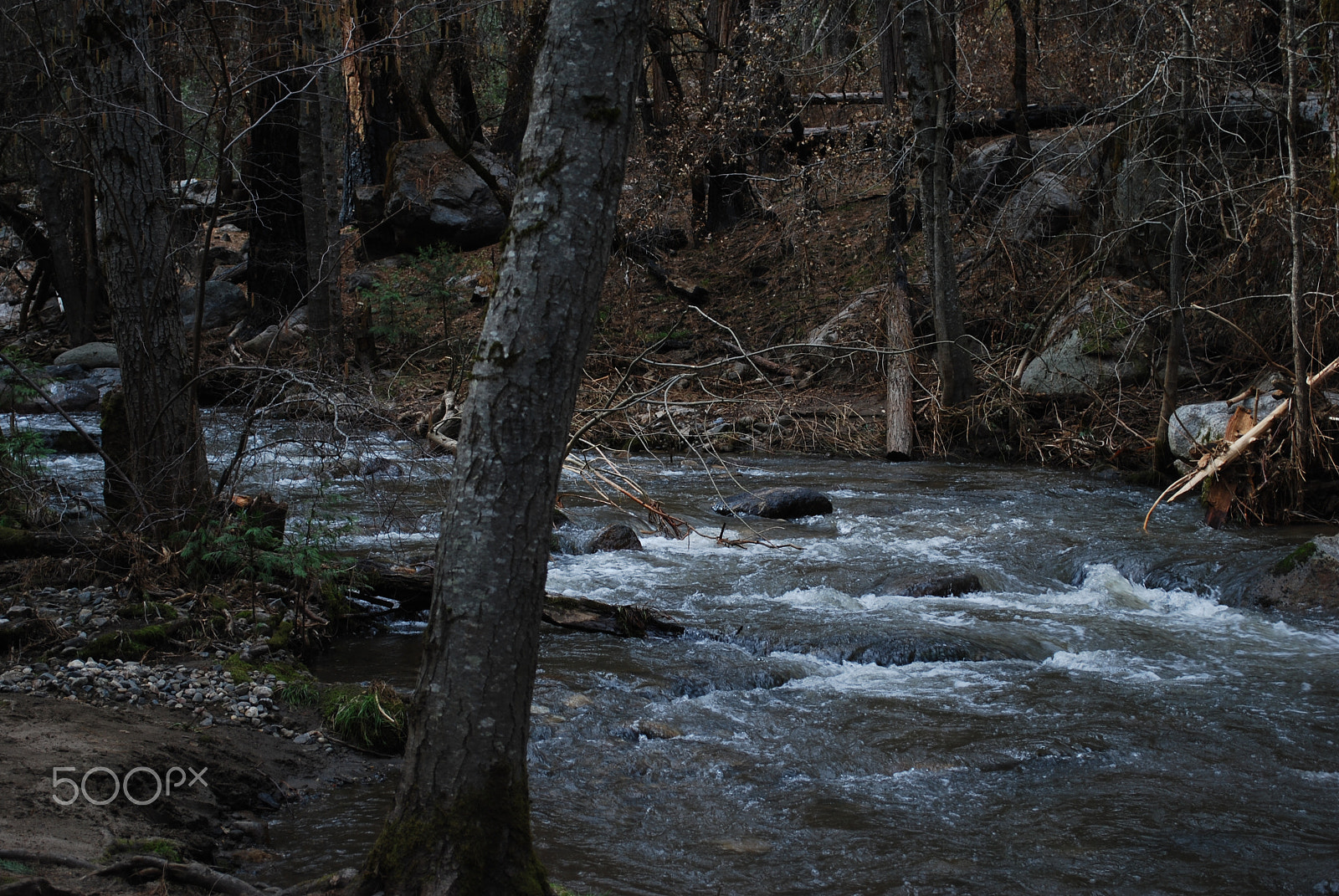 Nikon D60 sample photo. Yosemite waterfall photography