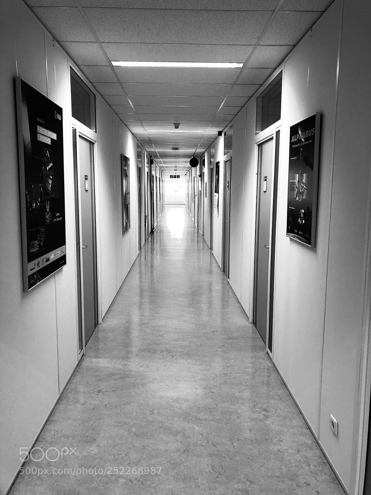 Apple iPhone 8 Plus sample photo. Loneliness photography
