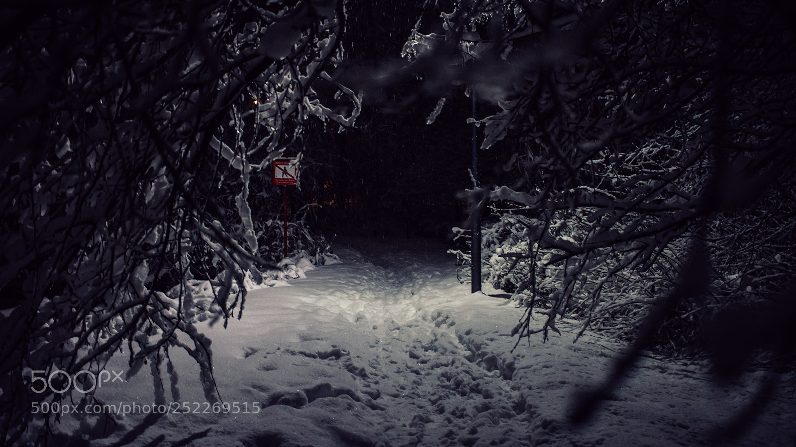 Canon EOS 7D sample photo. Snow in sokolniki photography